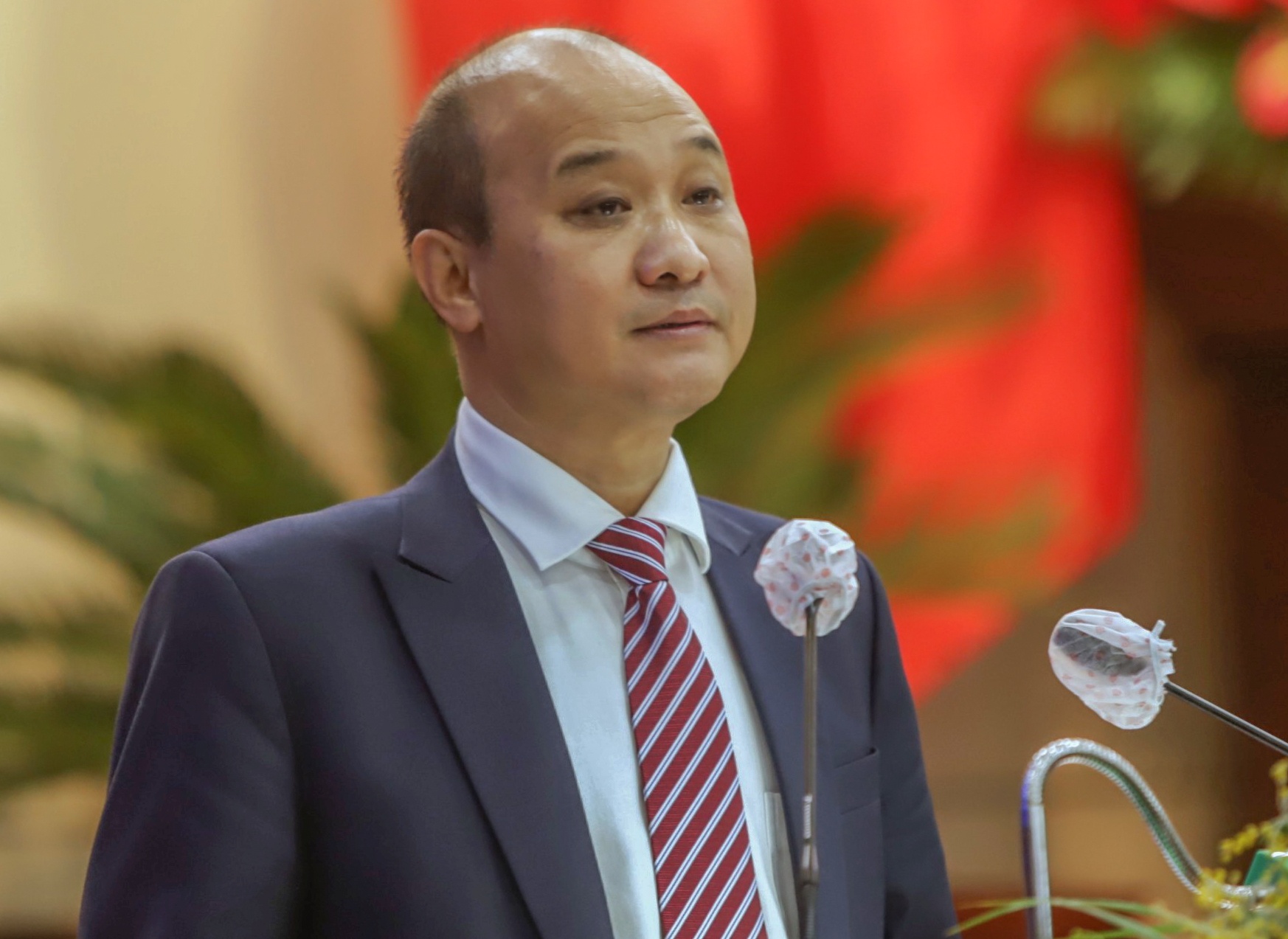 De xuat chuyen mot phan du an Lang Van lam khu do thi anh 1