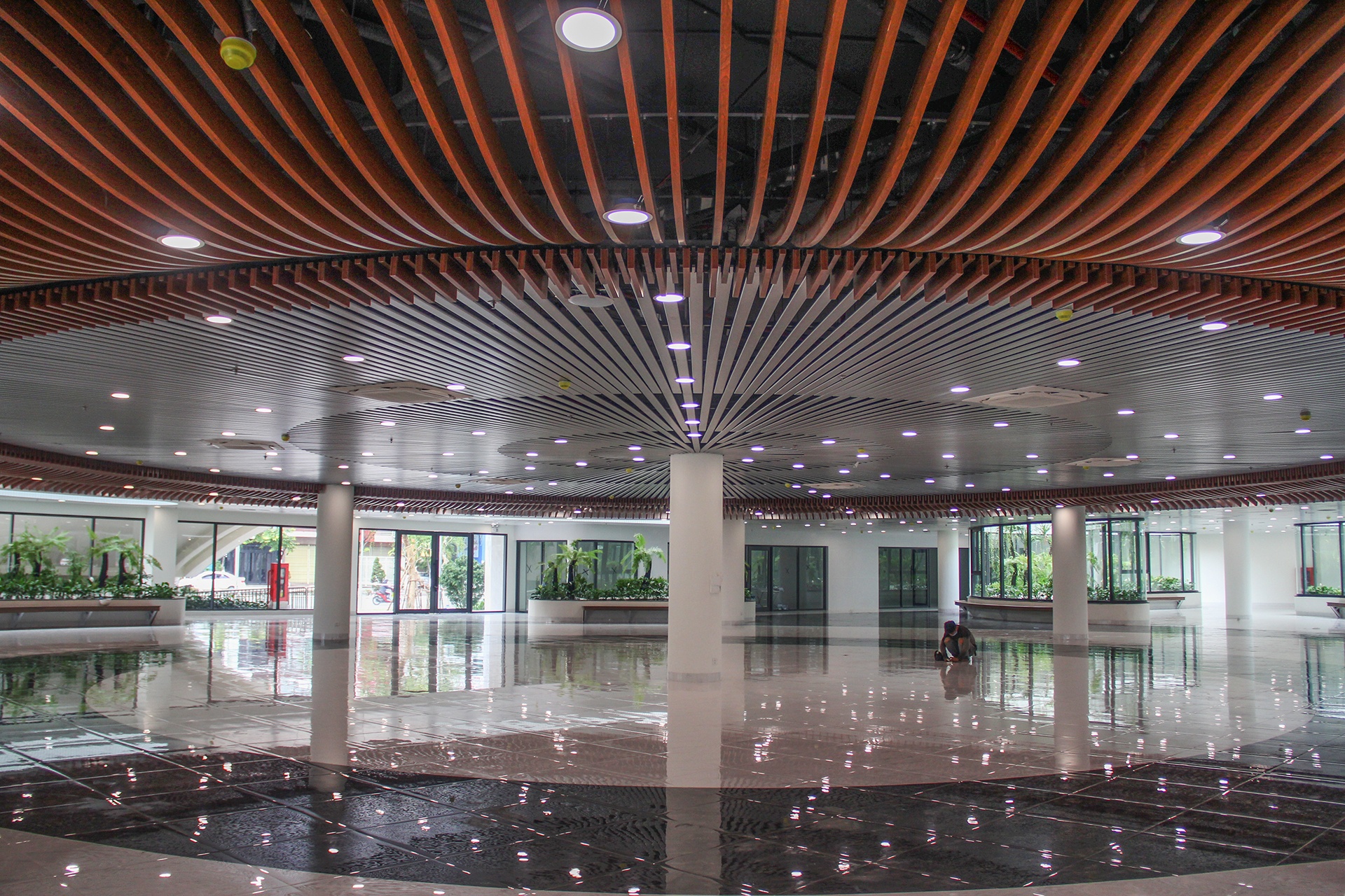 Vuon tung apec o Da Nang anh 4