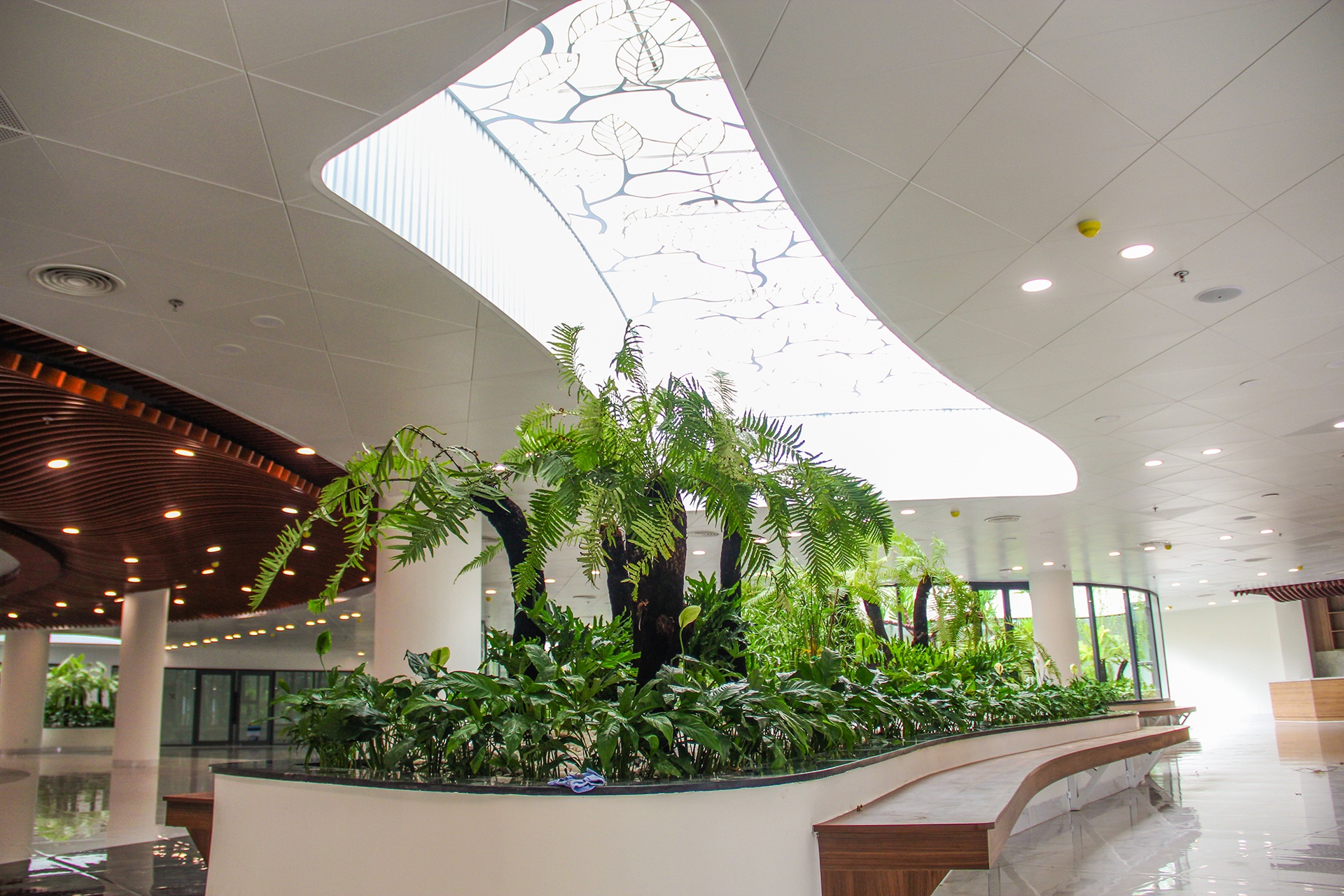 Vuon tung apec o Da Nang anh 5