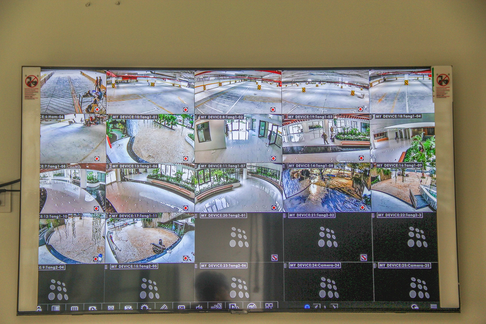 Vuon tung apec o Da Nang anh 6