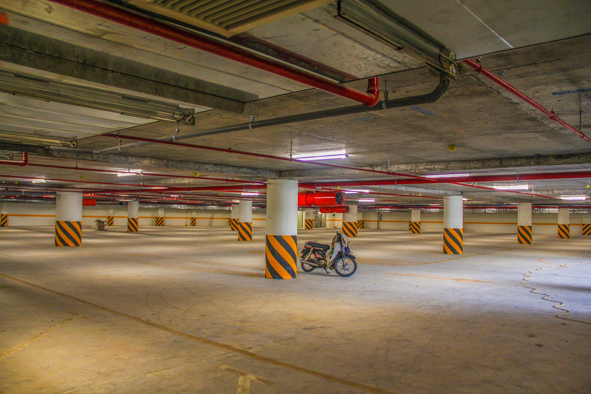 Vuon tung apec o Da Nang anh 11