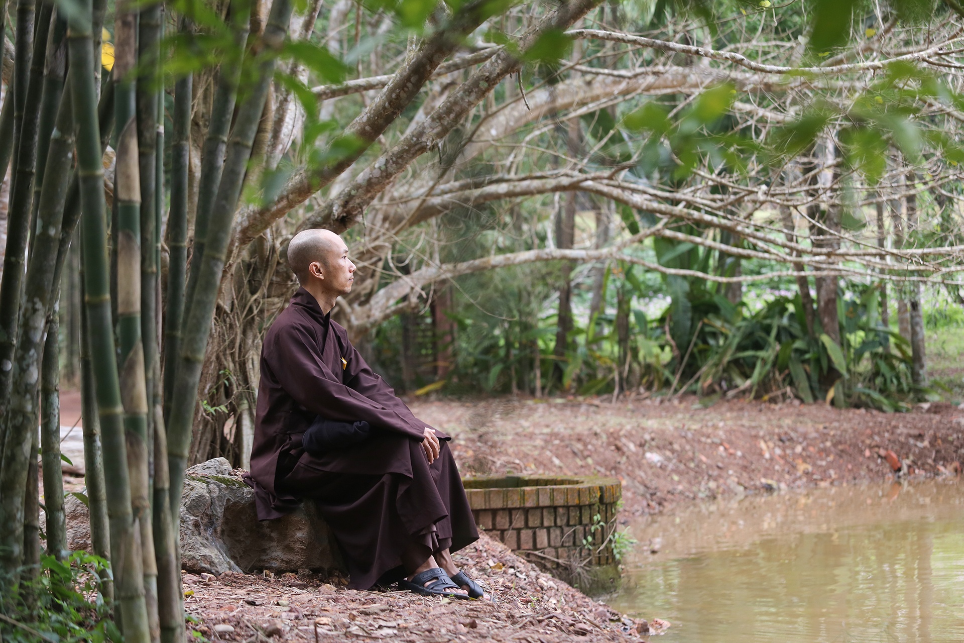 Thien su Thich Nhat Hanh vien tich anh 7
