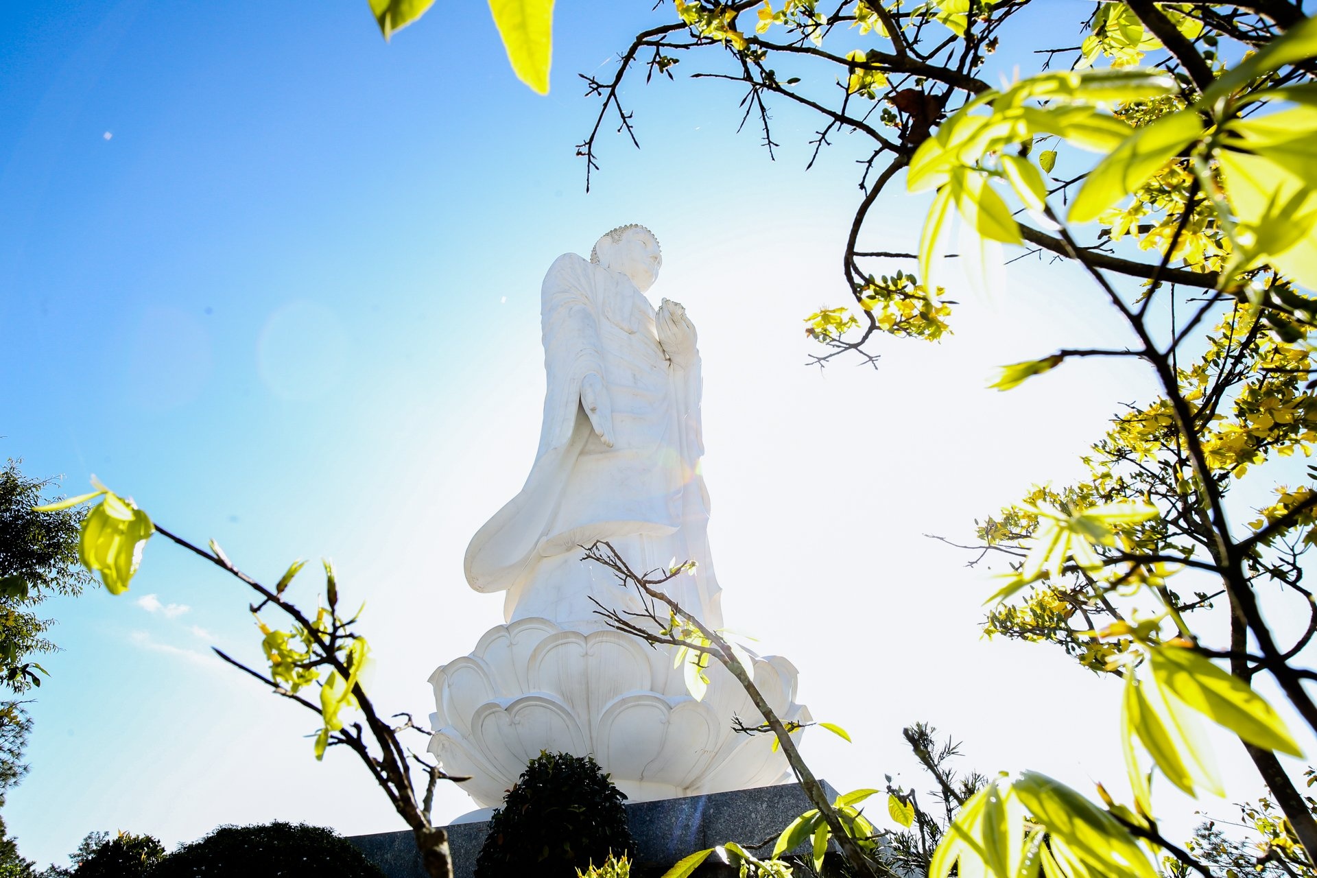 Thien su Thich Nhat hanh vien tich anh 11