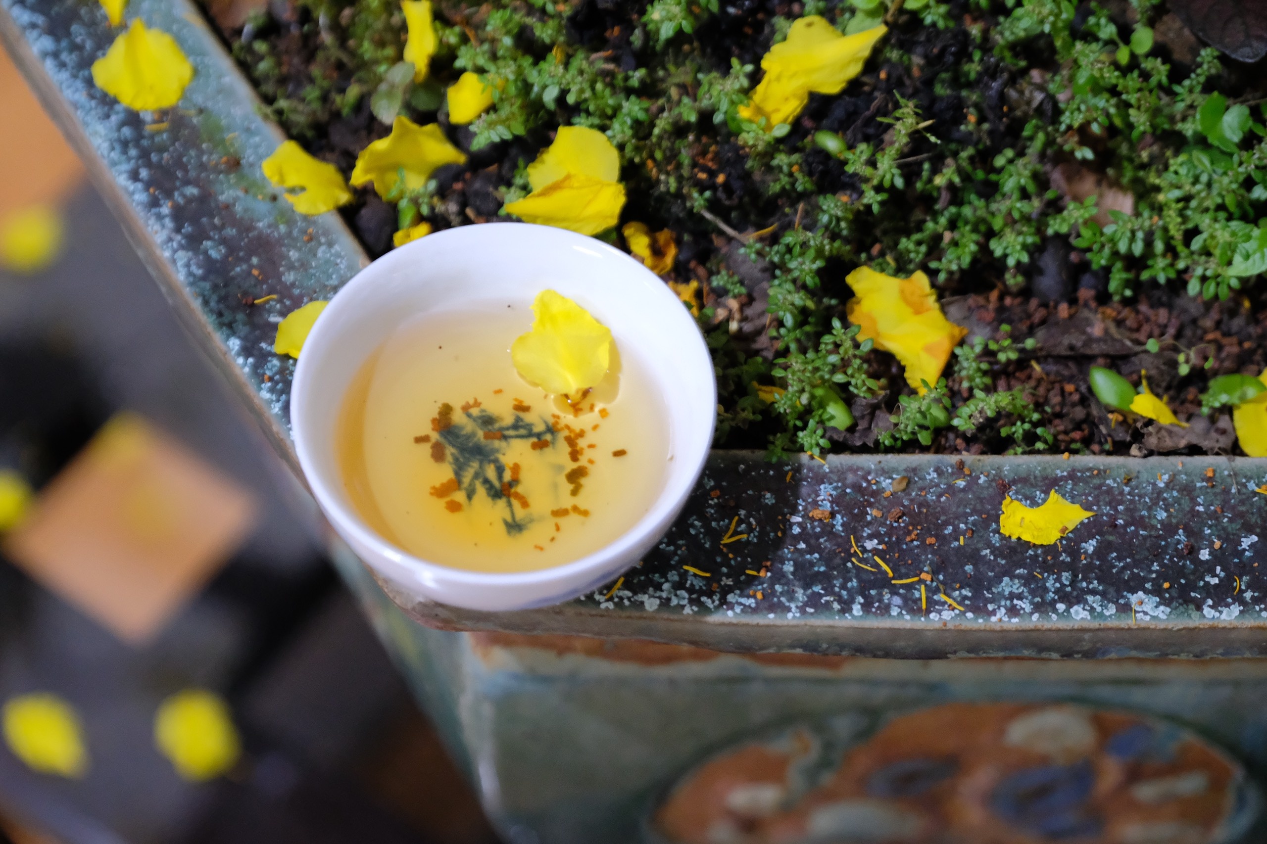 Thien su Thich Nhat Hanh vien tich anh 15