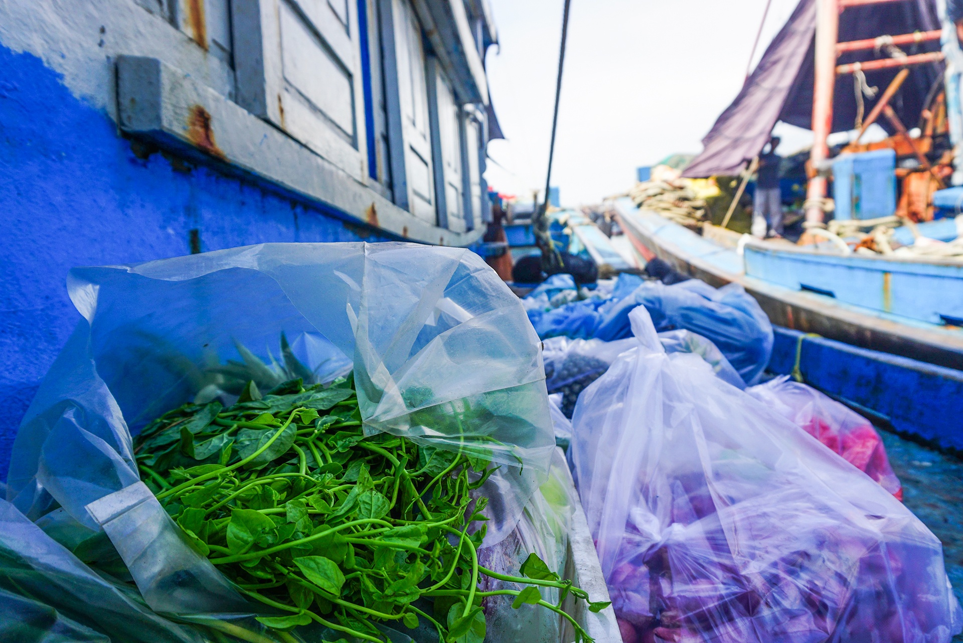 Ngu dan mien Trung san sang ra khoi anh 8