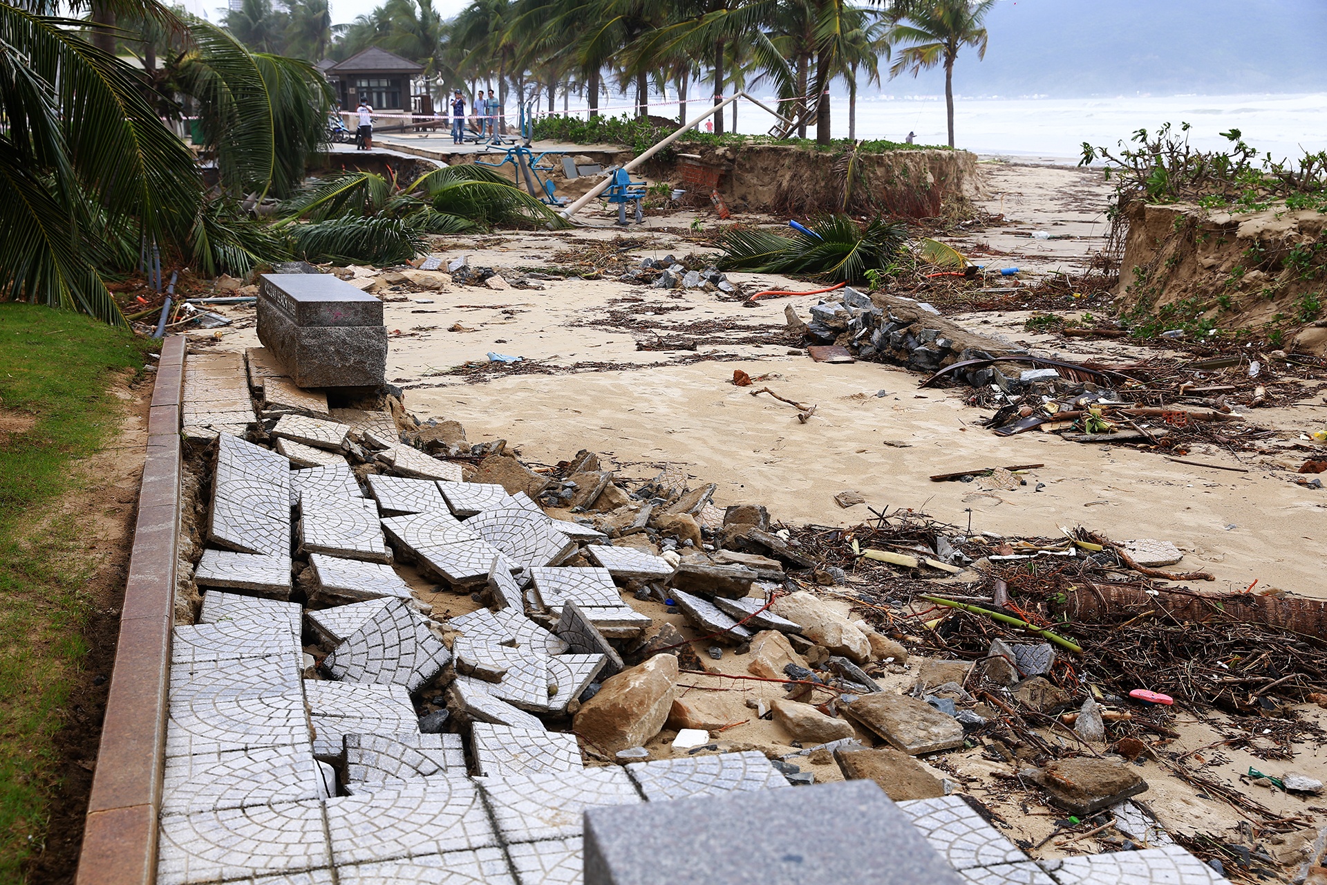 Da Nang tan hoang anh 9