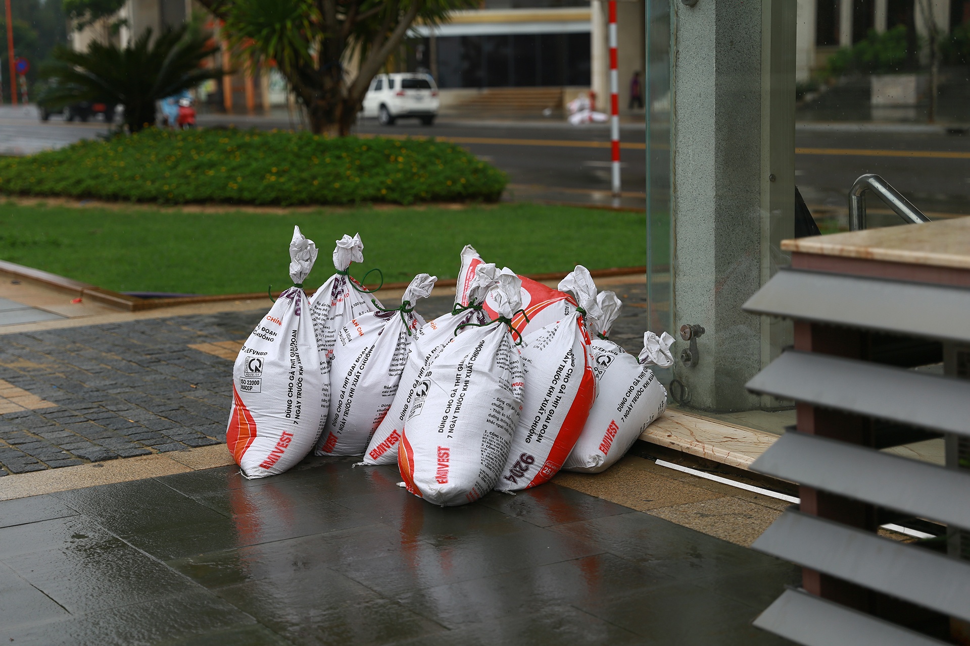 Bai bien Da Nang anh 11