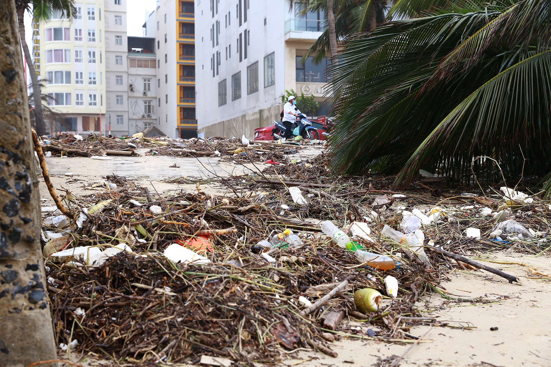Da Nang tan hoang anh 10