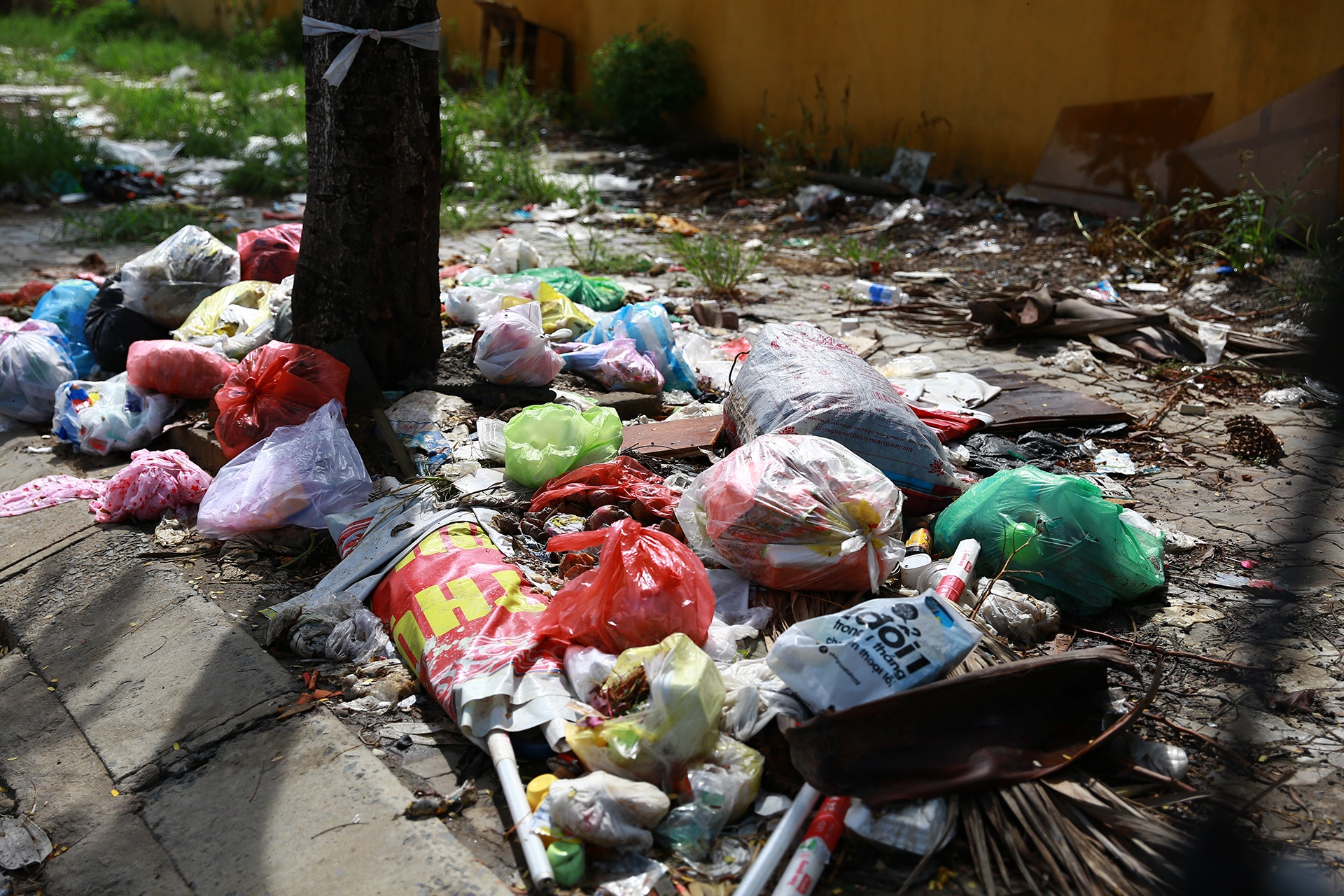 Bo hoang dat vang anh 10