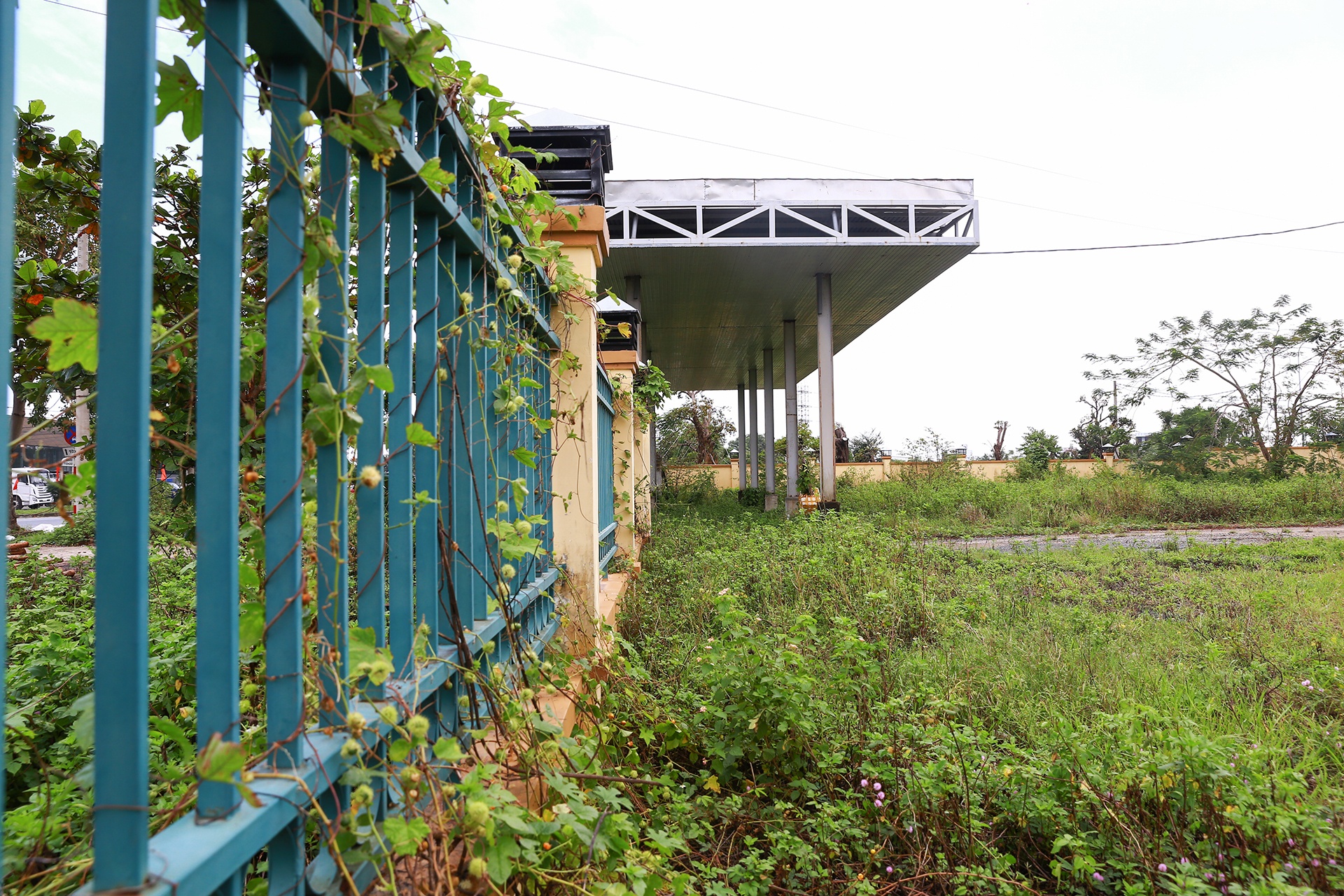 Ban ben xe Da Nang anh 12