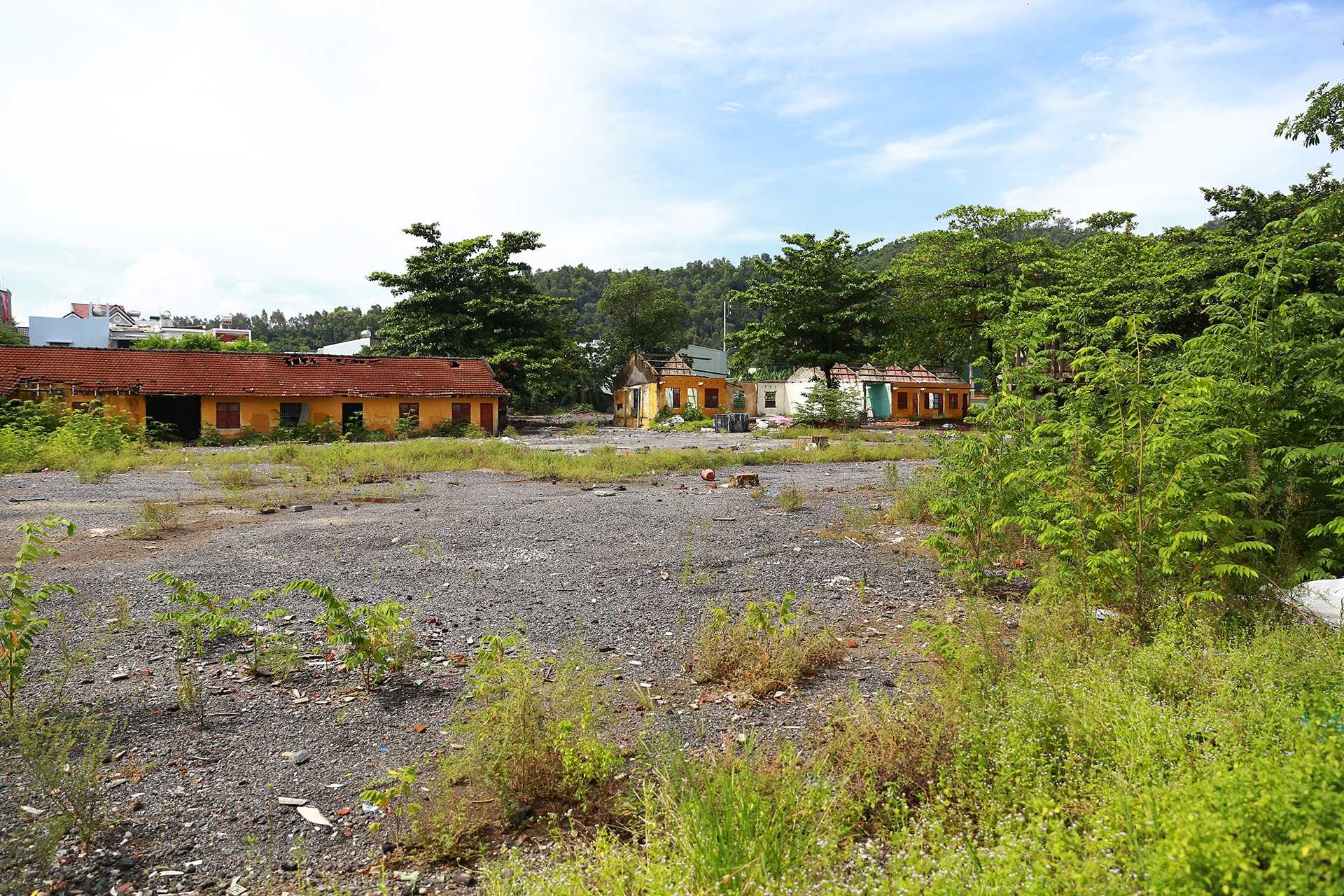 Bo hoang dat vang anh 1