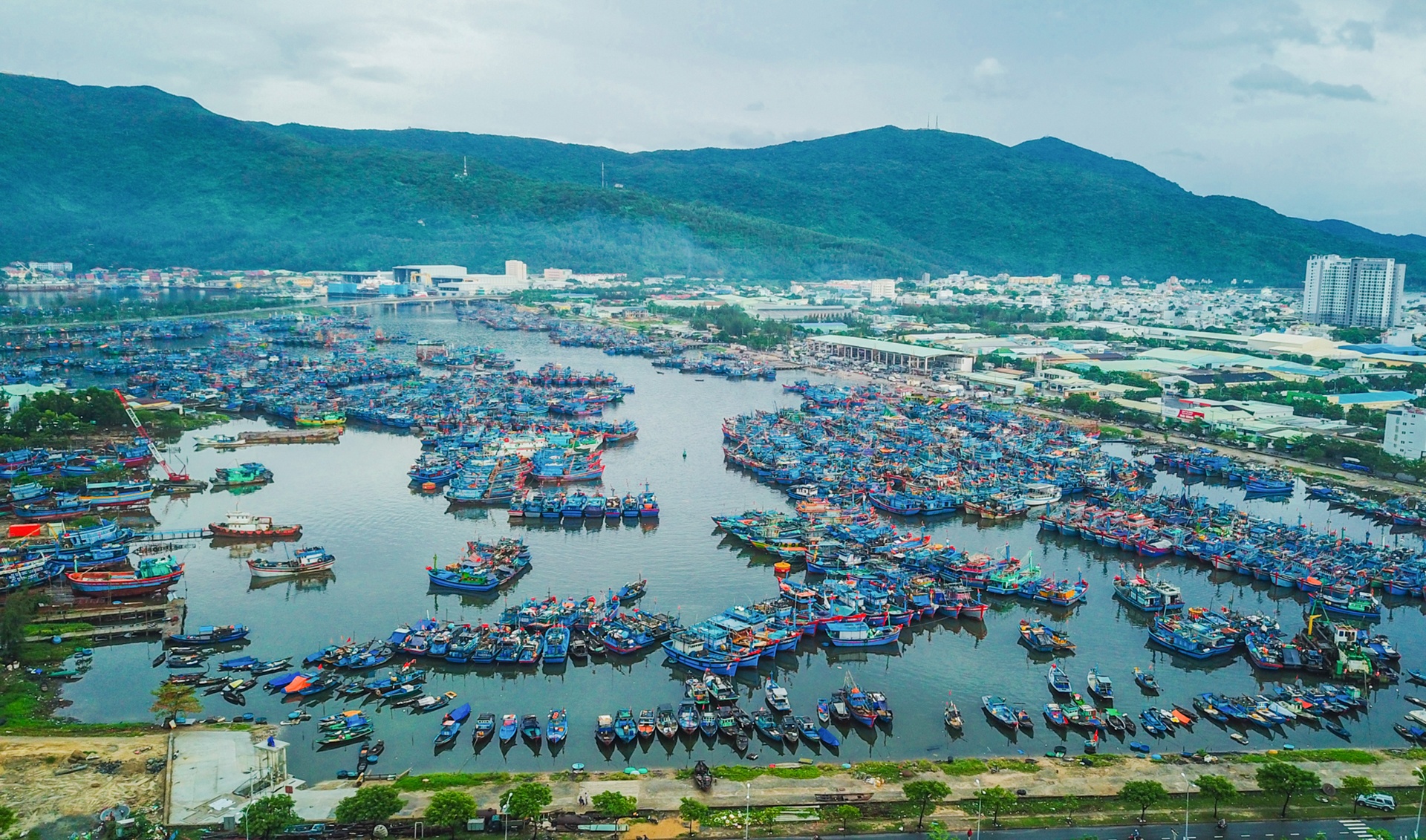 Ngu dan mien Trung san sang ra khoi anh 1