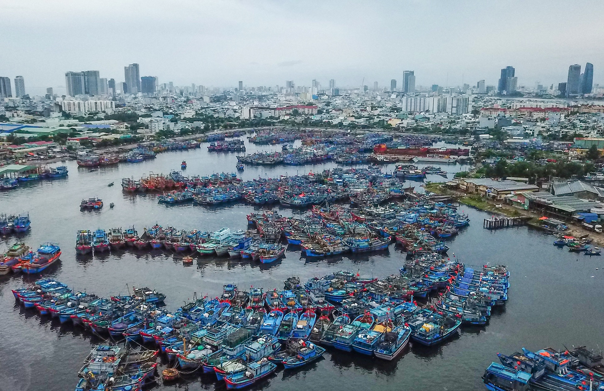 Ngu dan tranh bao anh 2