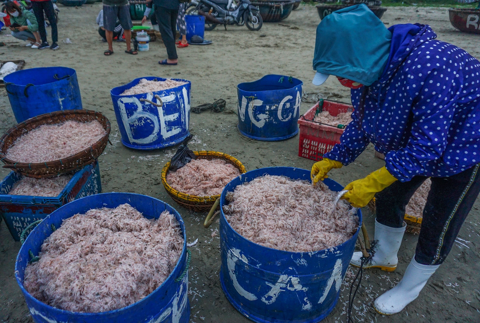 Ngu dan Da Nang trung dam ruoc bien anh 3