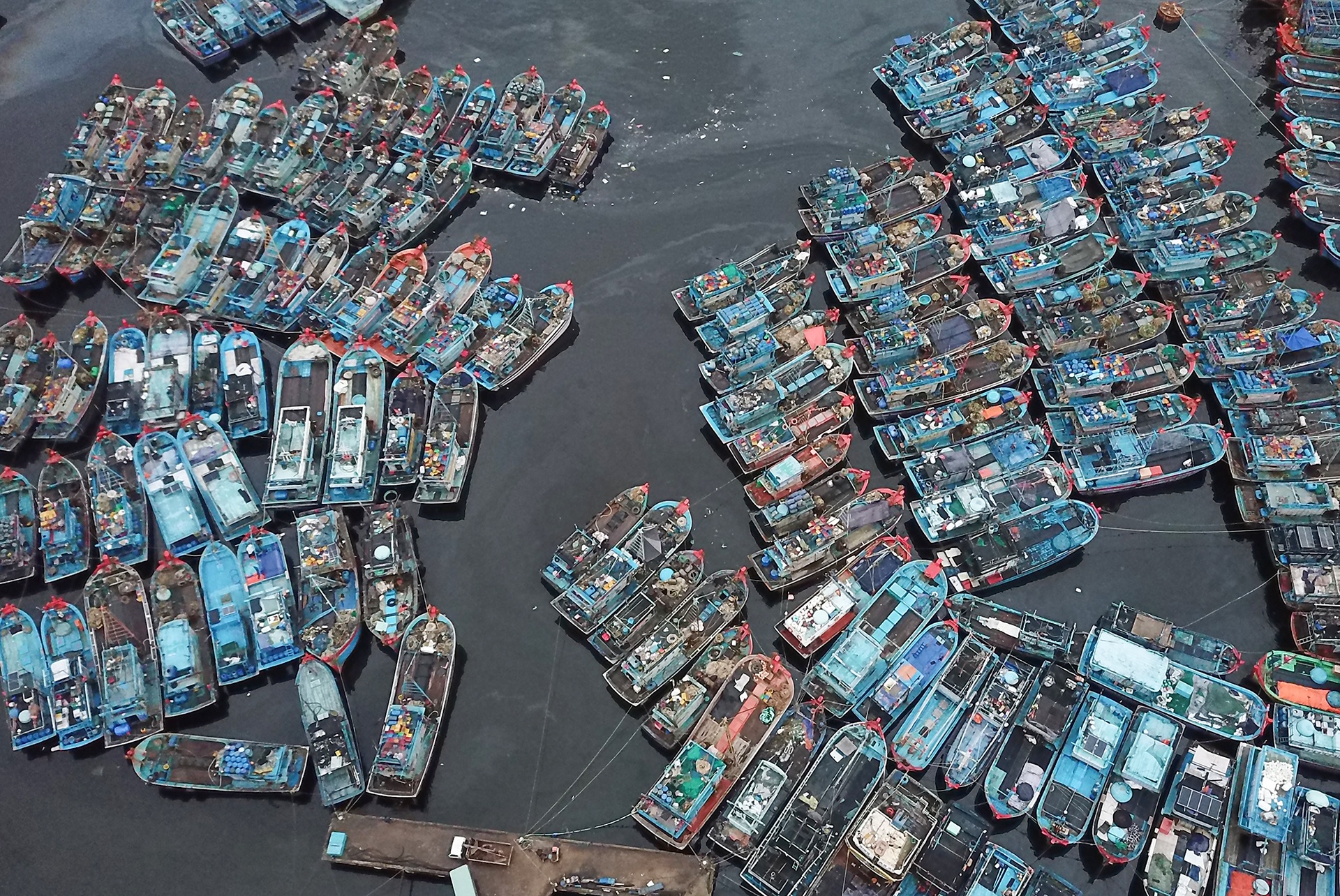 Ngu dan tranh bao anh 3