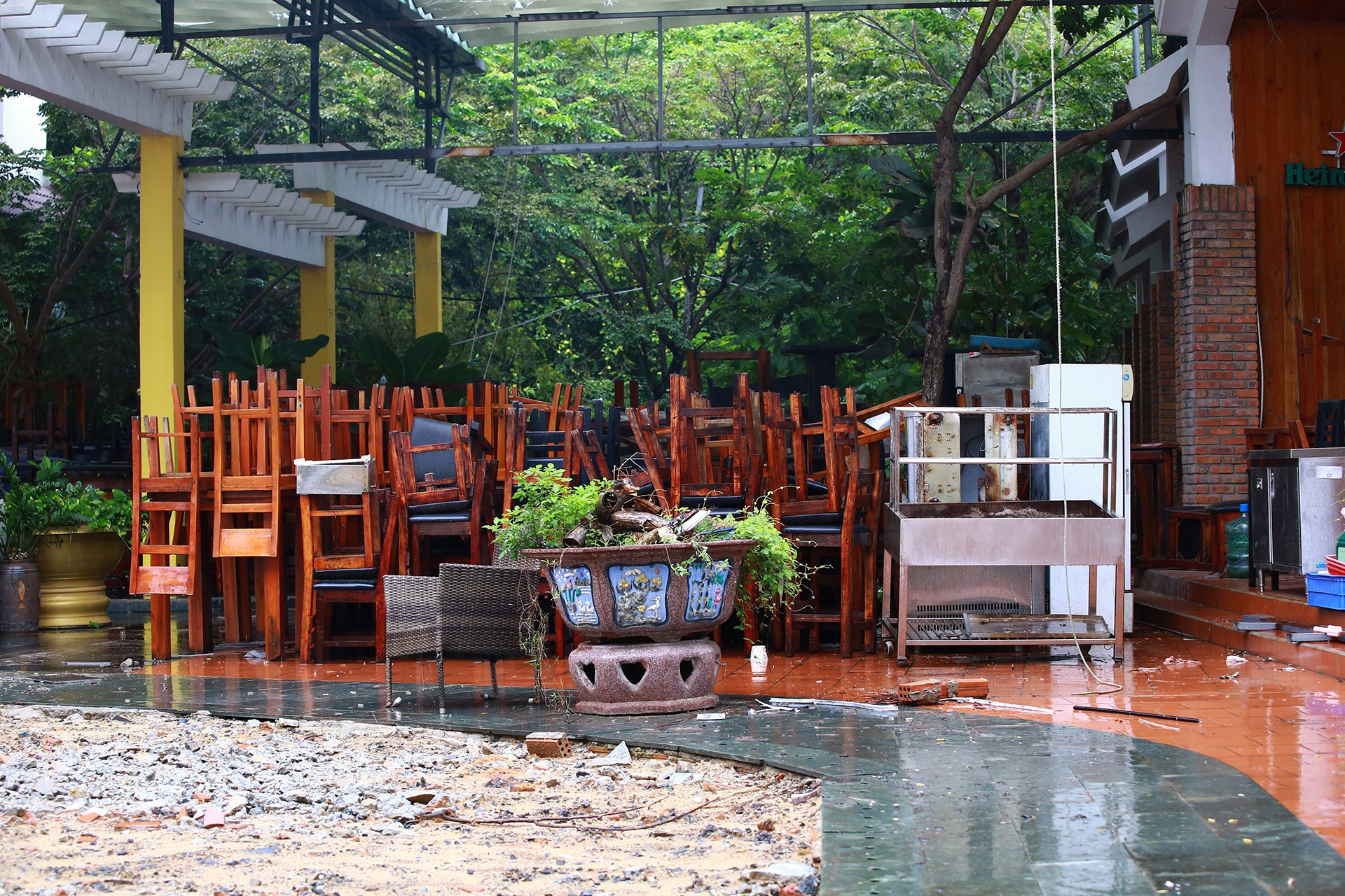 Ung pho bao so 4 anh 8