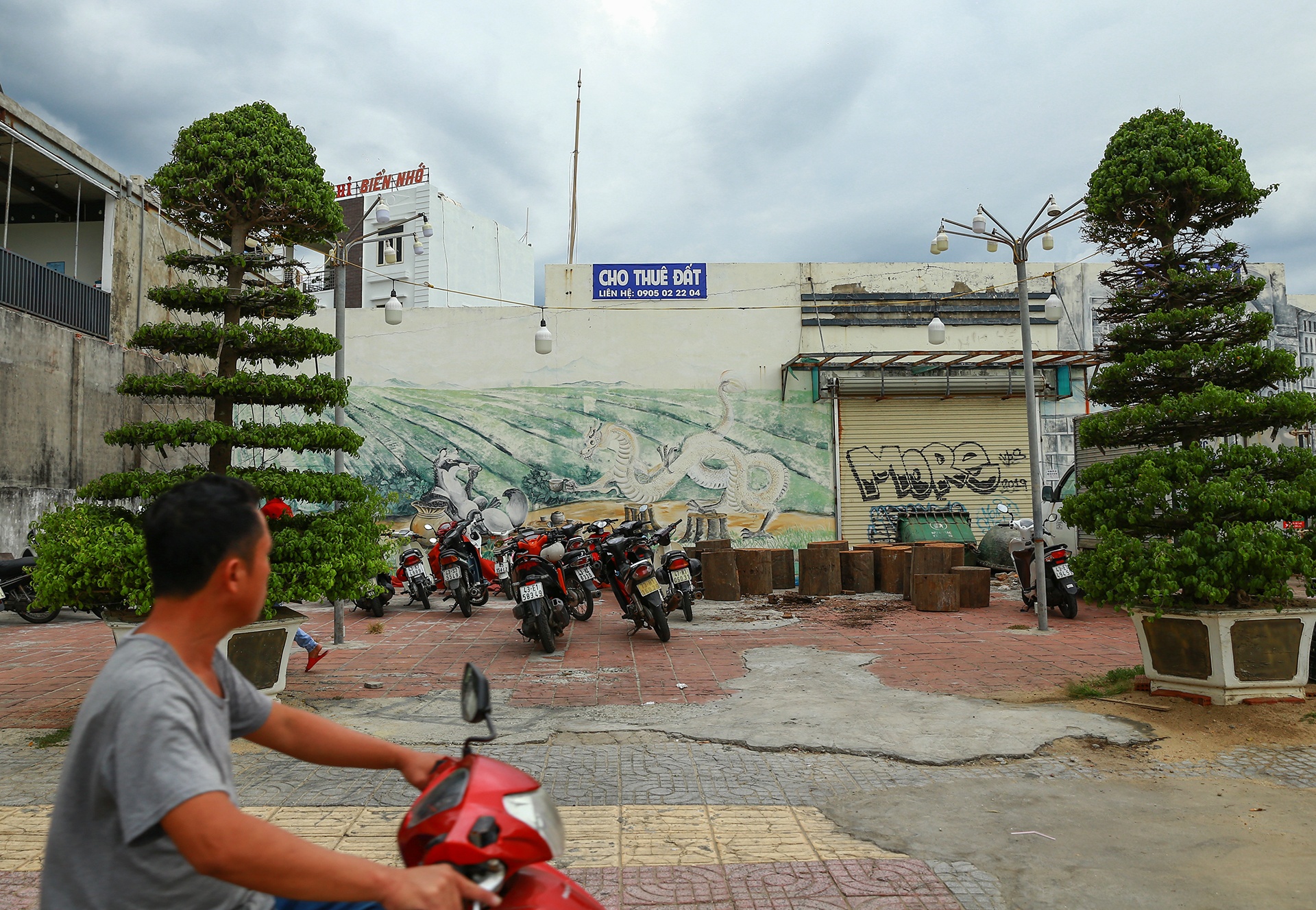 Cac tuyen duong ven bien Da Nang nhech nhac anh 5