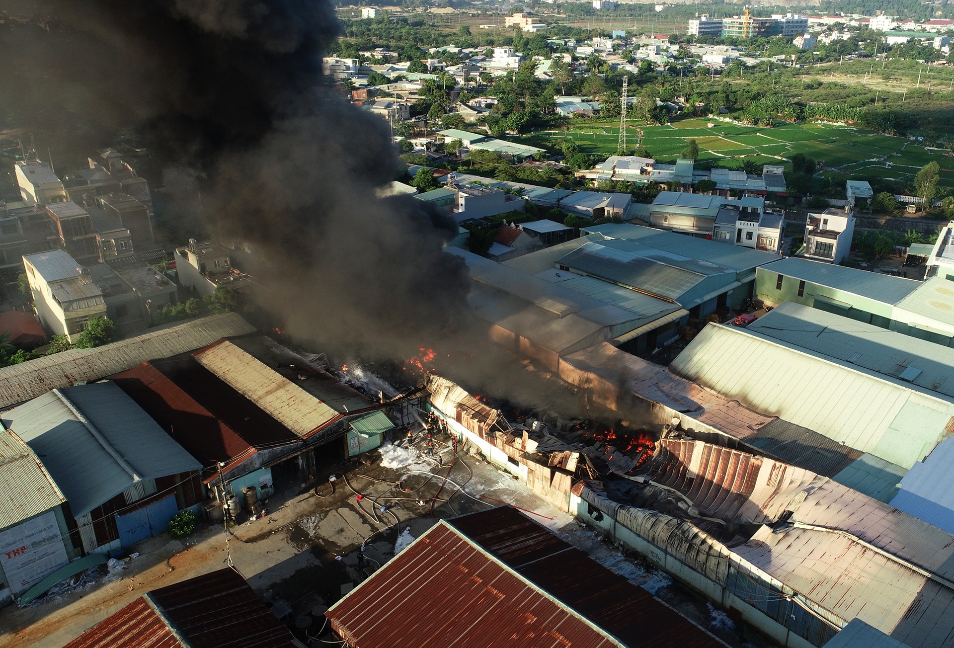 Chay lon o Da Nang anh 4