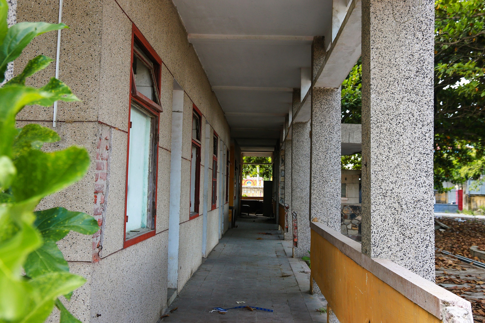 Bo hoang dat vang anh 11