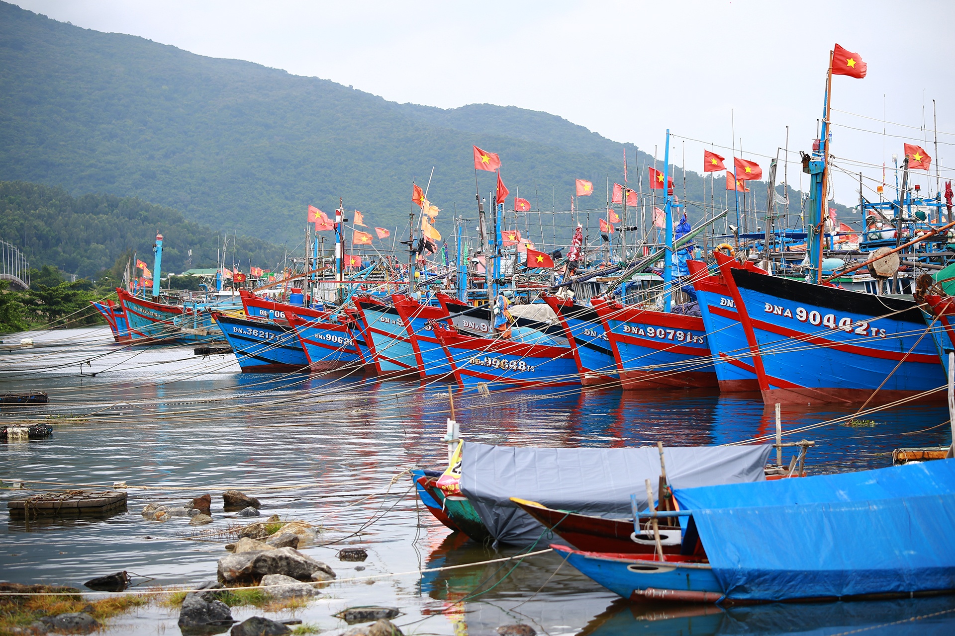 Ngu dan tranh bao anh 5