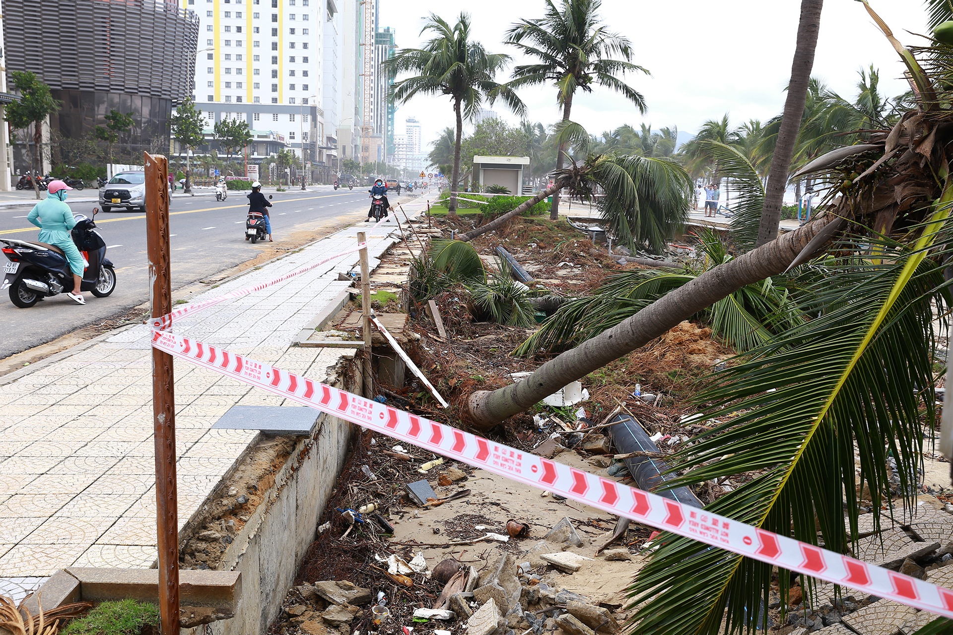 Ban ben xe Da Nang anh 5
