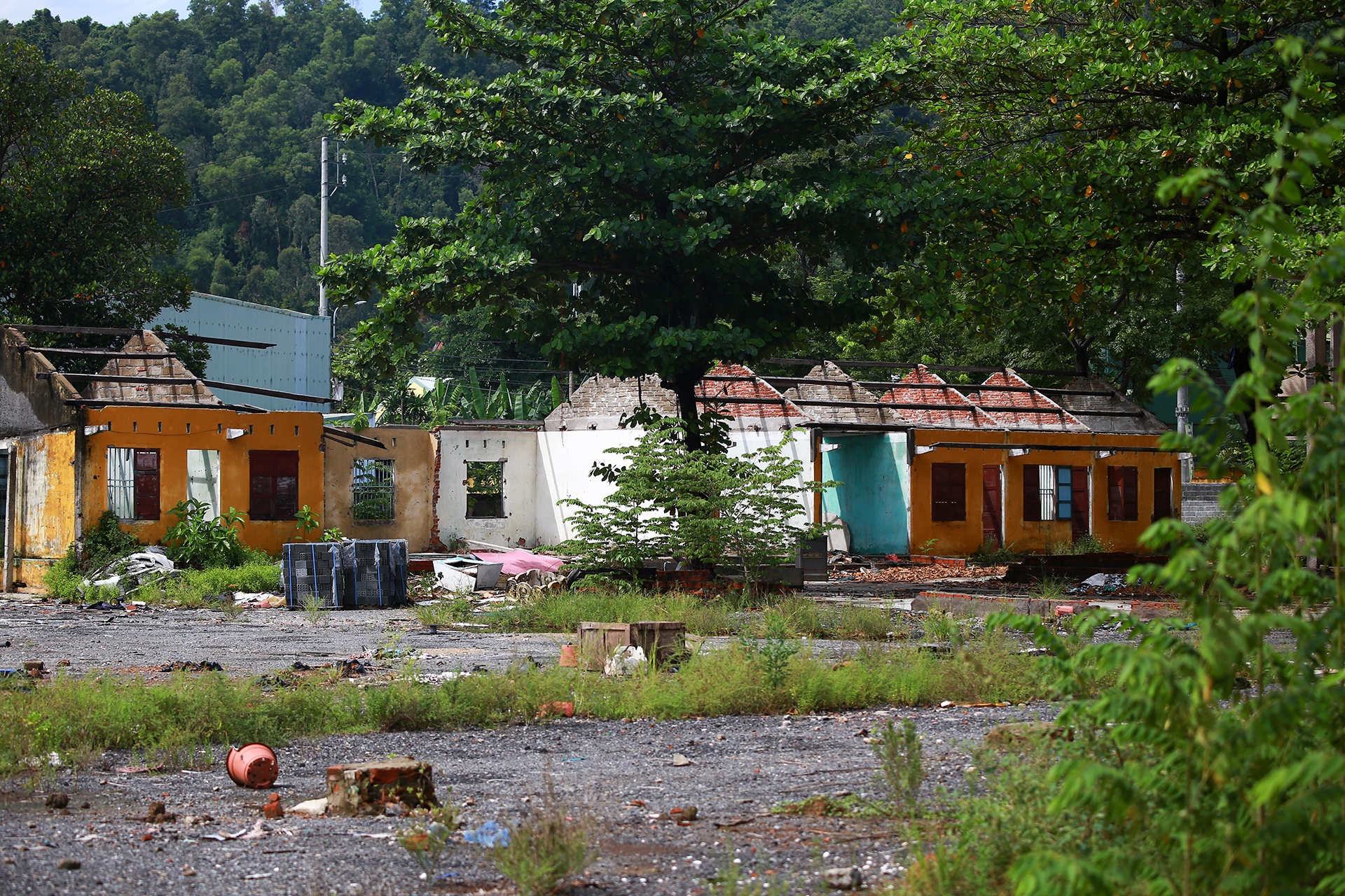 Bo hoang dat vang anh 5