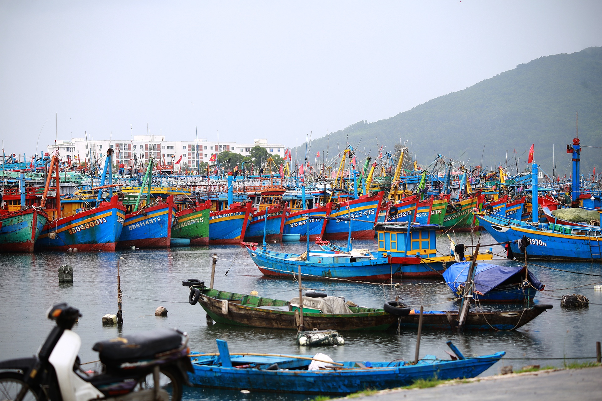 Ngu dan tranh bao anh 6