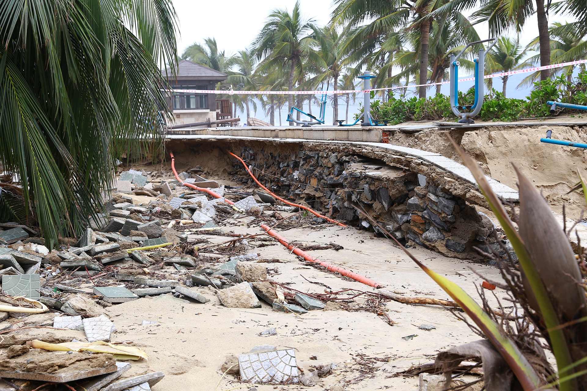 Da Nang tan hoang anh 7