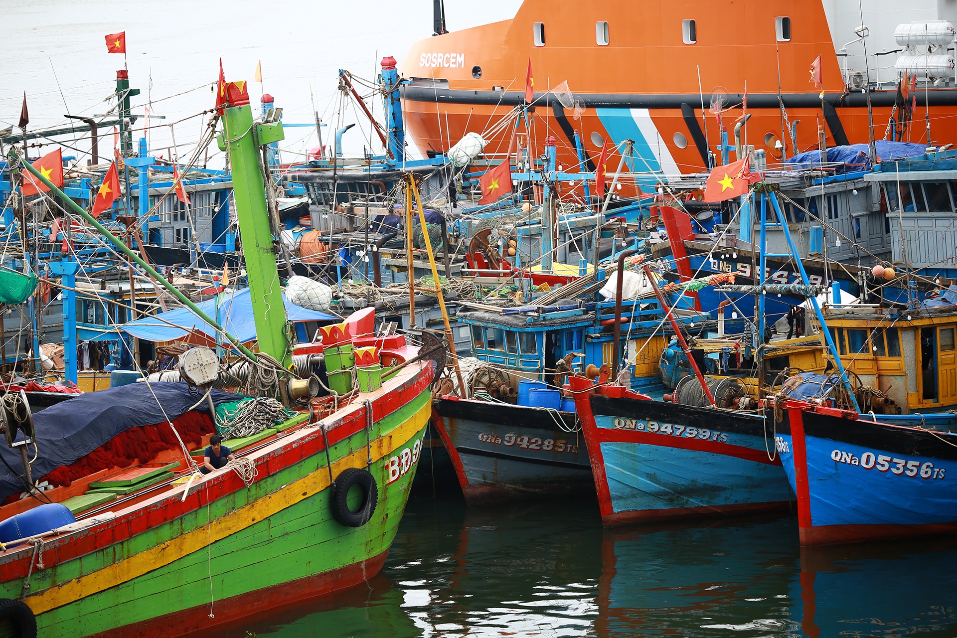 Ngu dan tranh bao anh 7