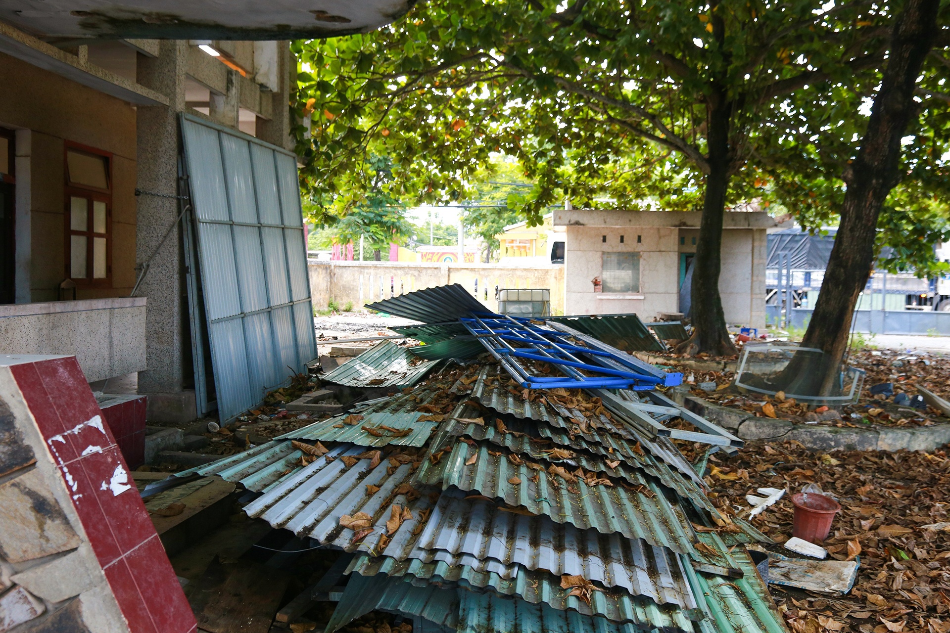 Bo hoang dat vang anh 7