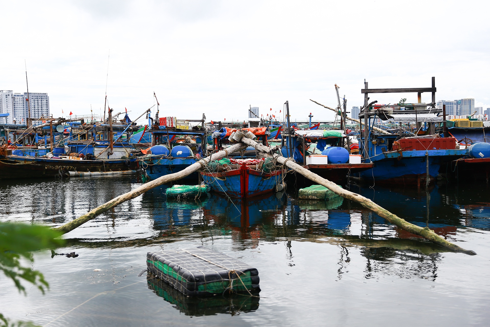 Ngu dan ung pho bao anh 7