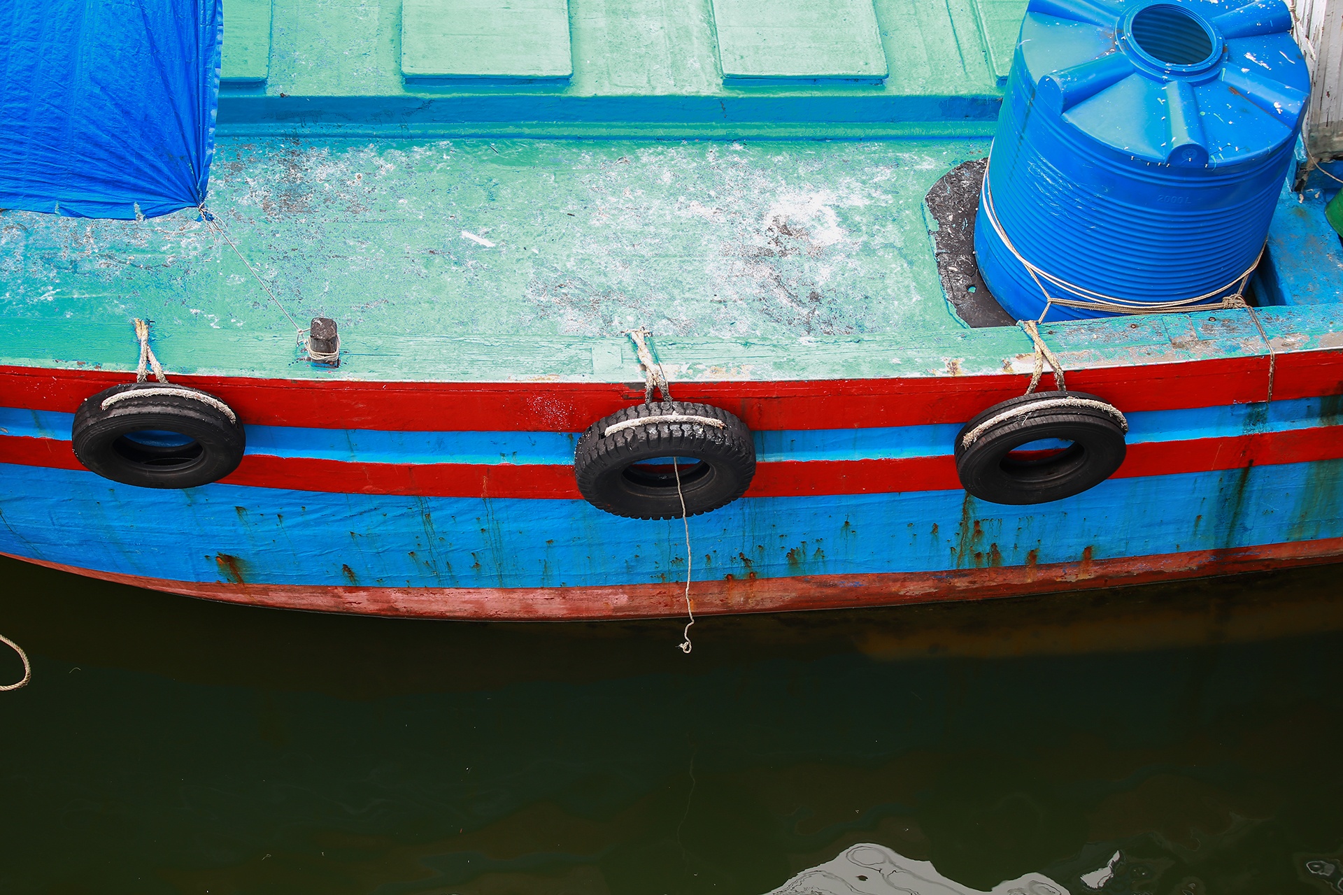 Ngu dan tranh bao anh 8