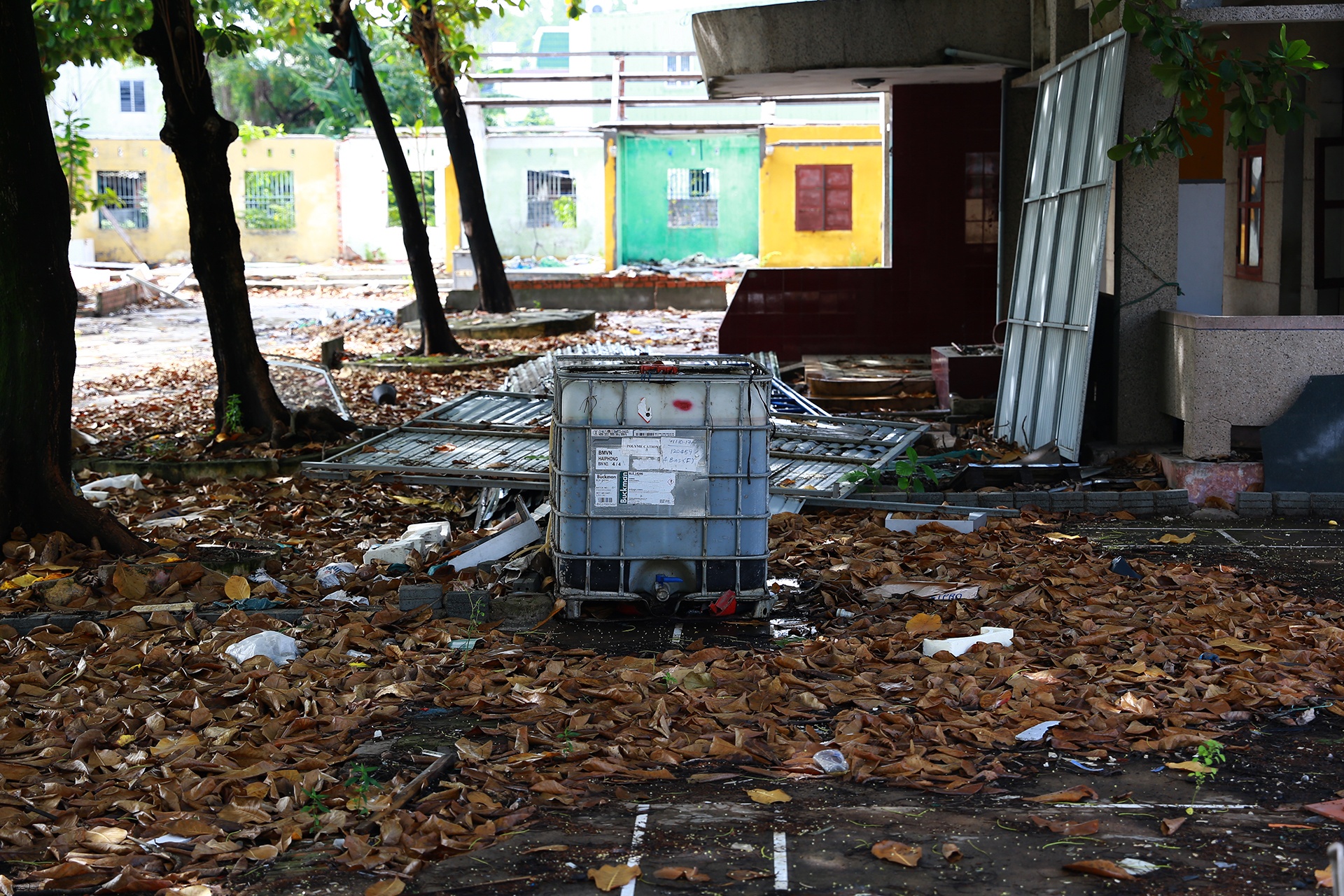 Bo hoang dat vang anh 8