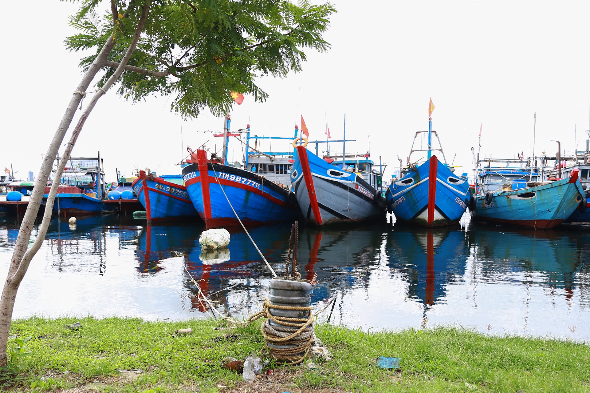 Ngu dan ung pho bao anh 8