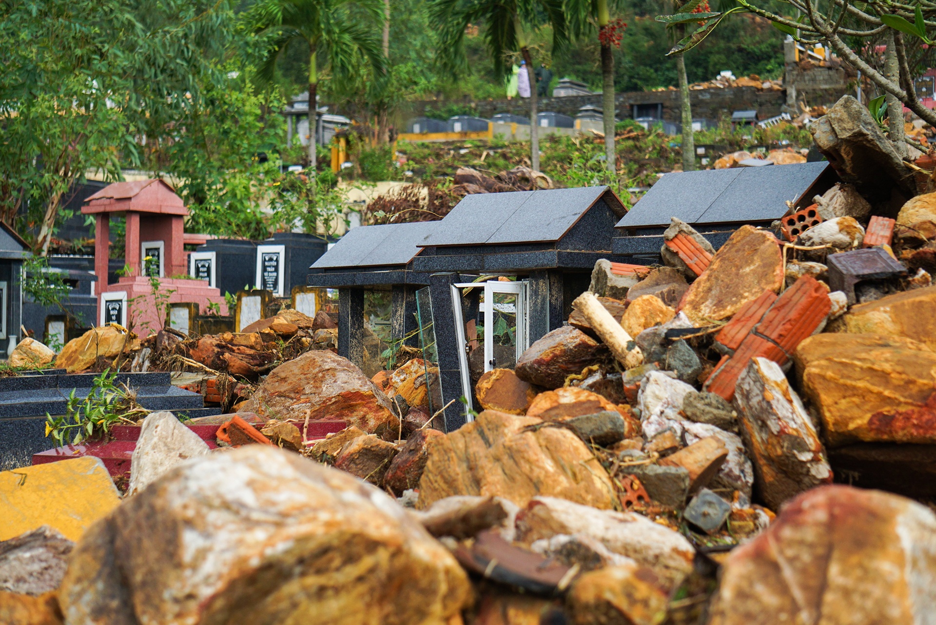 Hang tram ngoi mo bi vui lap do sat lo o Da Nang hinh anh