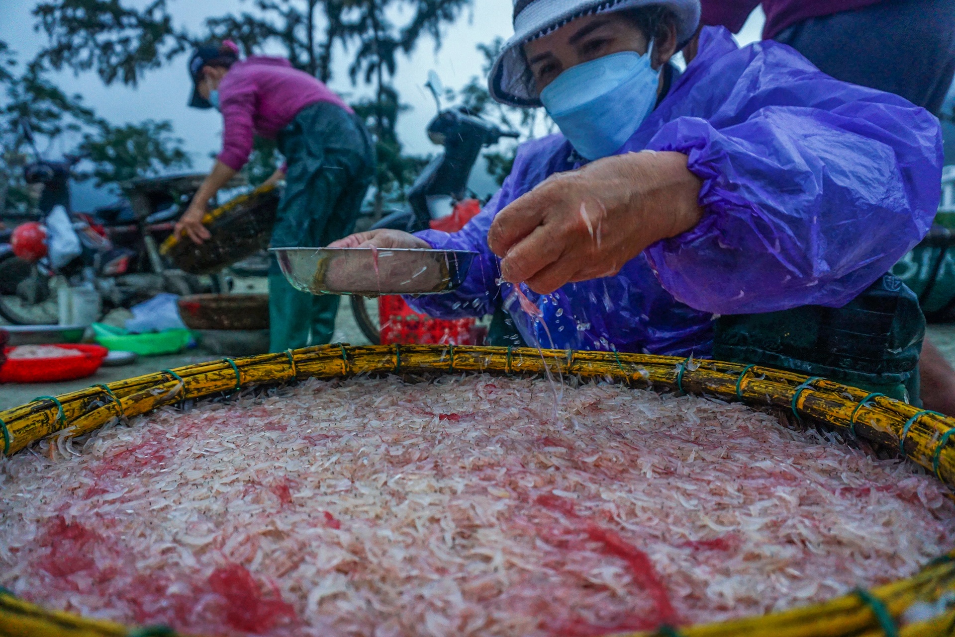 Ngu dan Da Nang nhon nhip voi ruoc bien dau nam hinh anh
