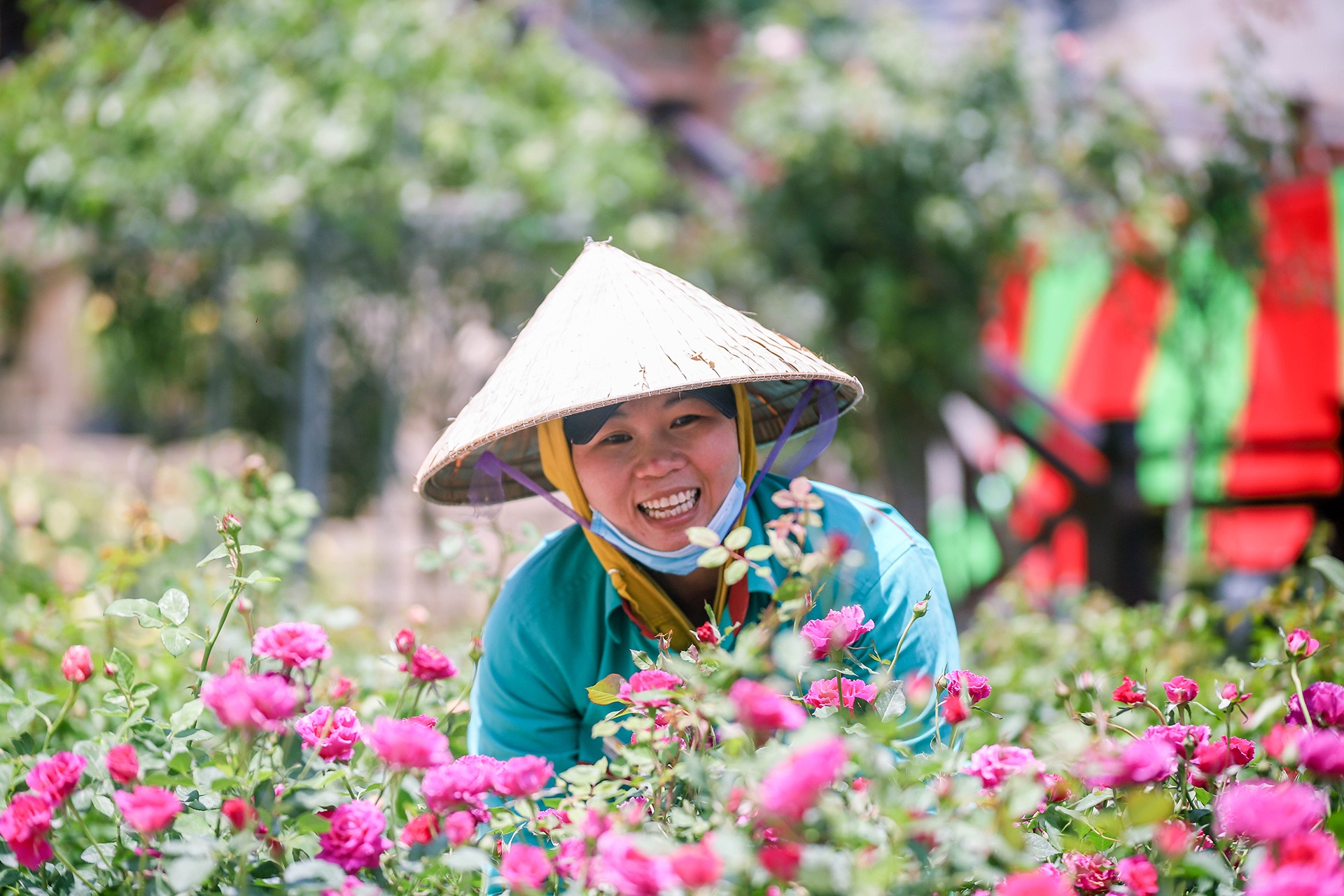 Đà Nẵng sẵn sàng đón khách quốc tế ảnh 2 Da Nang san sang don khach quoc te anh 2