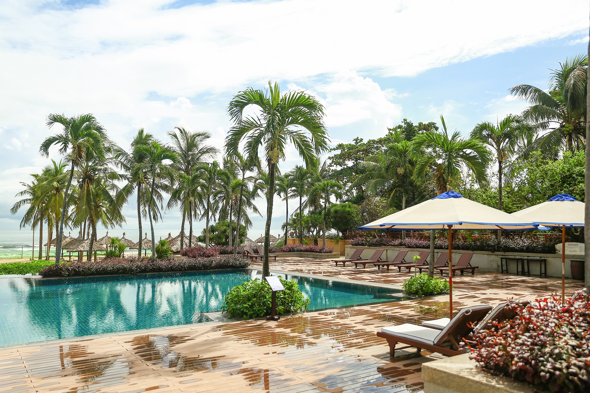 Doanh nghiep mien Trung don khach quoc te anh 2