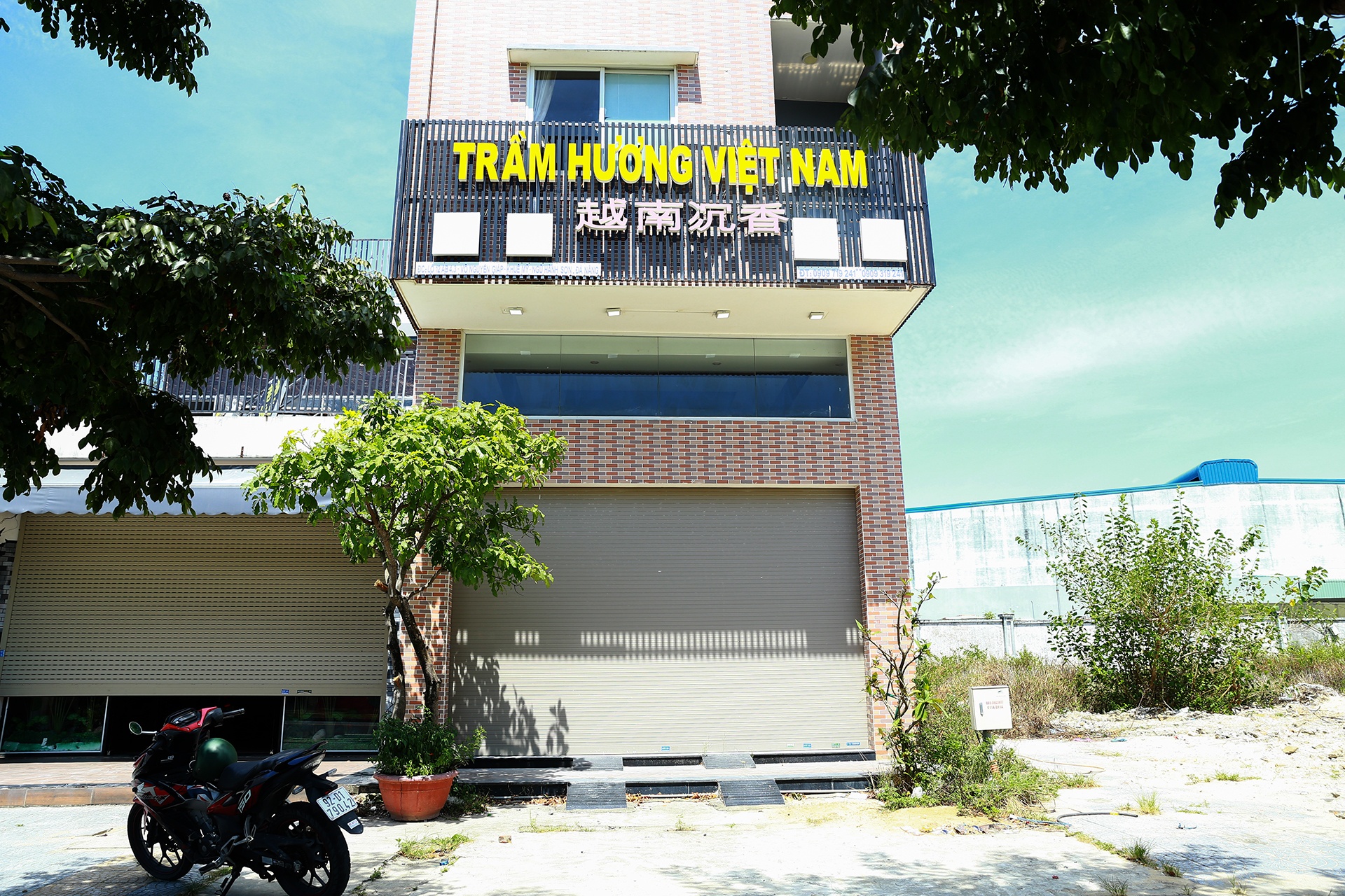 Da Nang vang khach du lich anh 6