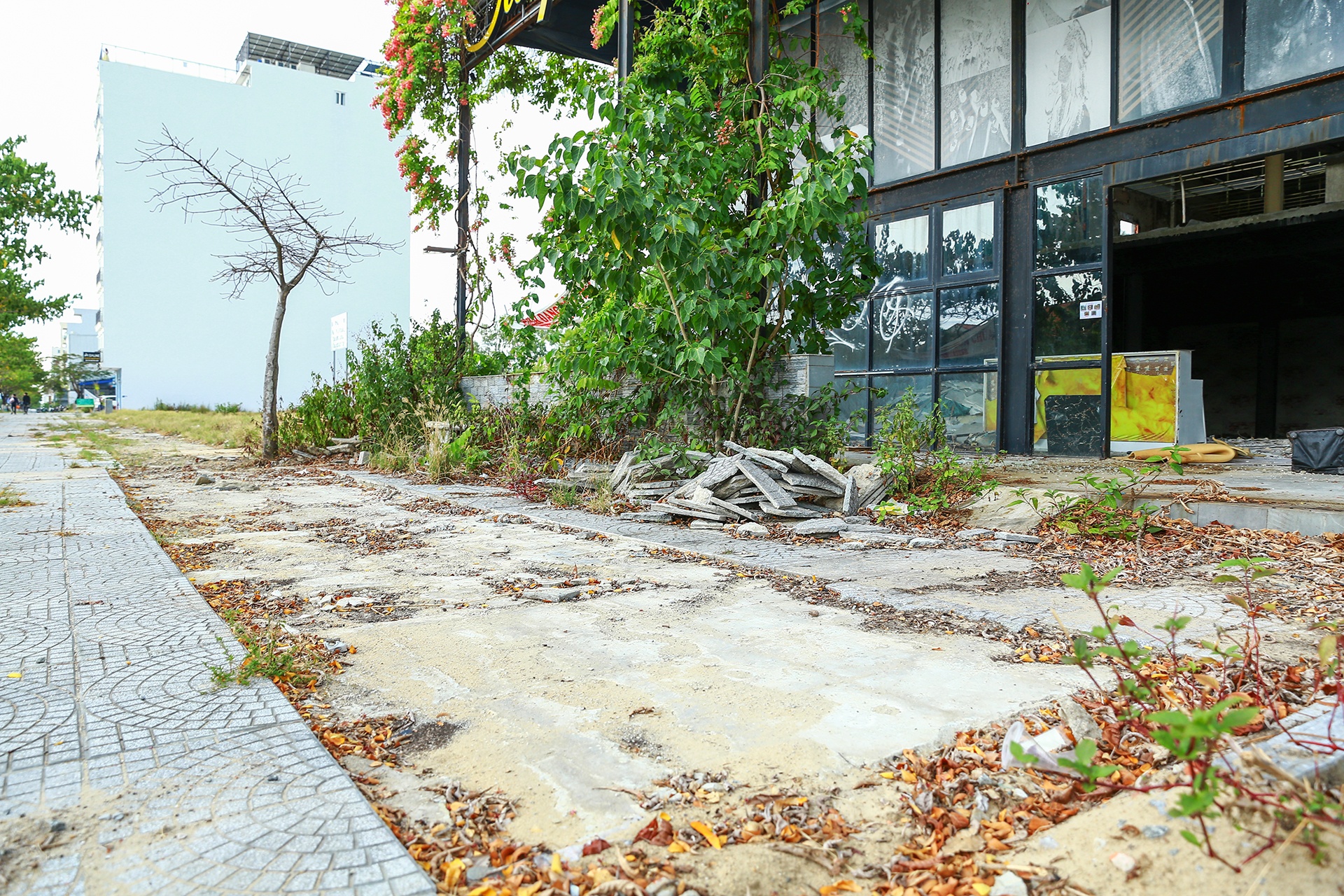 Da Nang vang khach du lich anh 9