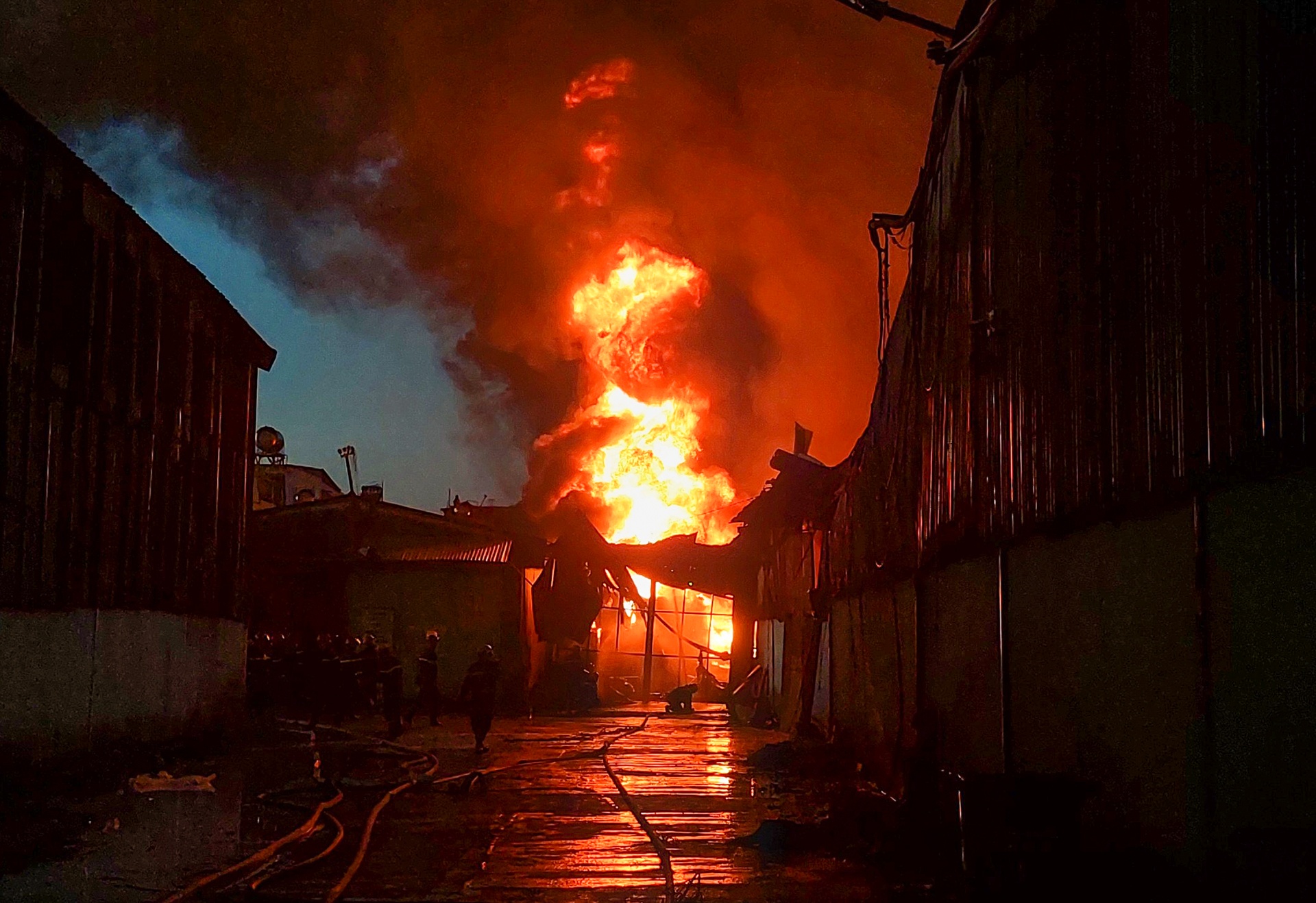 Chay lon o Da Nang anh 1