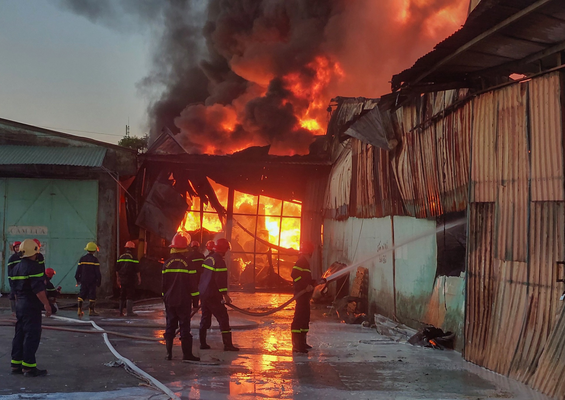 Chay lon o Da Nang anh 2