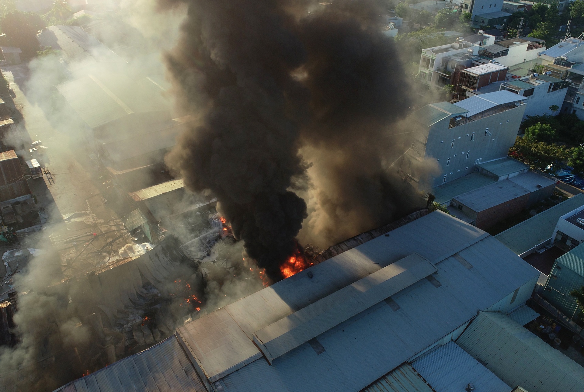 Chay lon o Da Nang anh 5