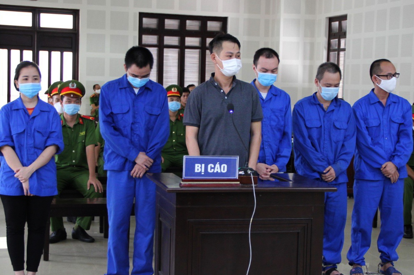 Chuyen gia dom anh 1