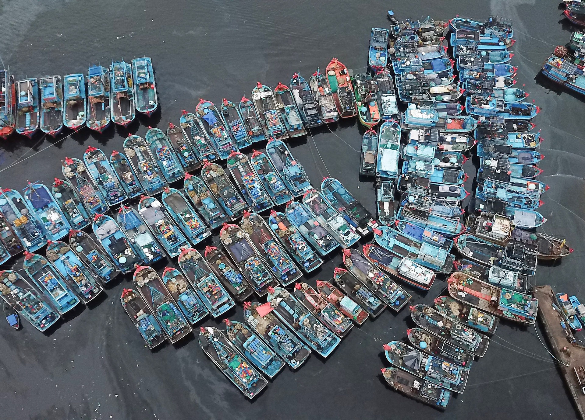 Hon 4.000 tau ca vao au thuyen o Da Nang tru bao Noru hinh anh