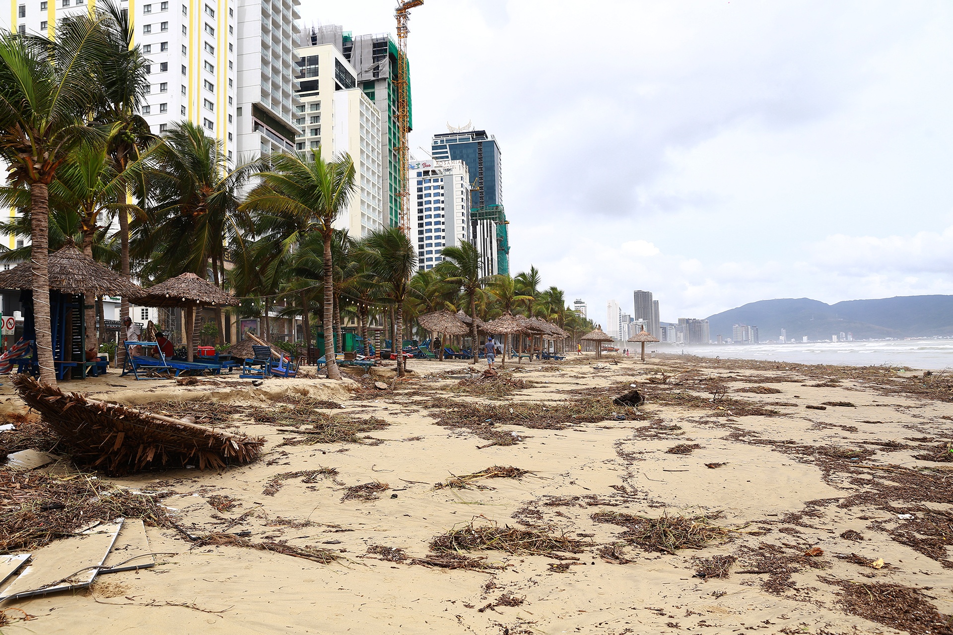 Da Nang tan hoang anh 1