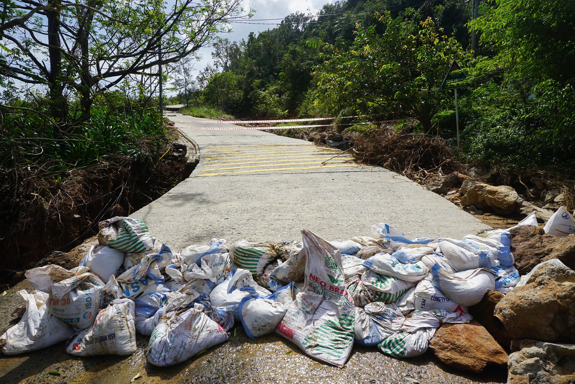 Sat lo o Son Tra anh 7