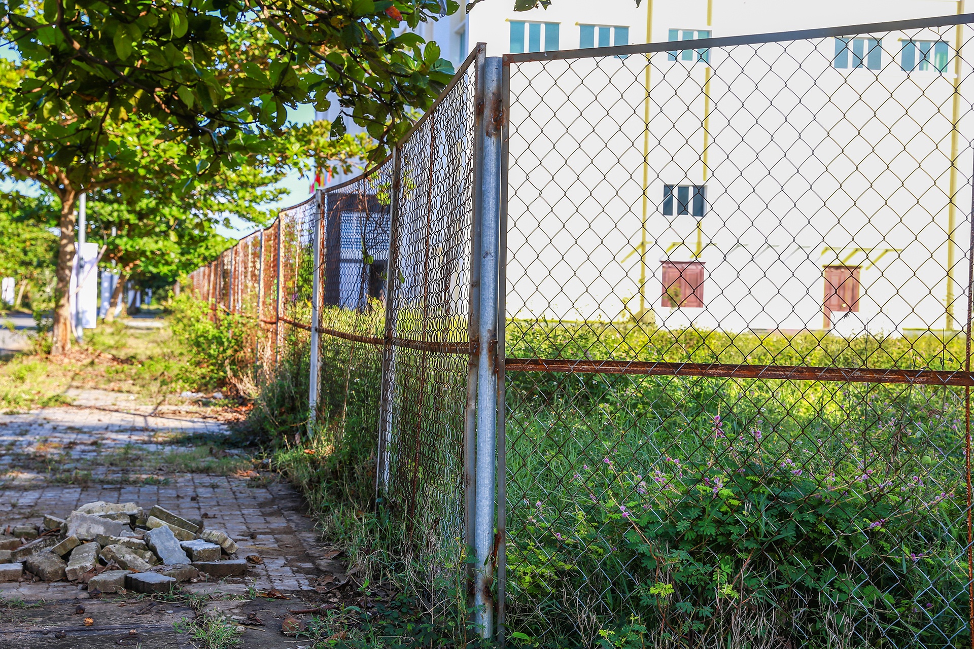 Lang dai hoc Da Nang anh 7