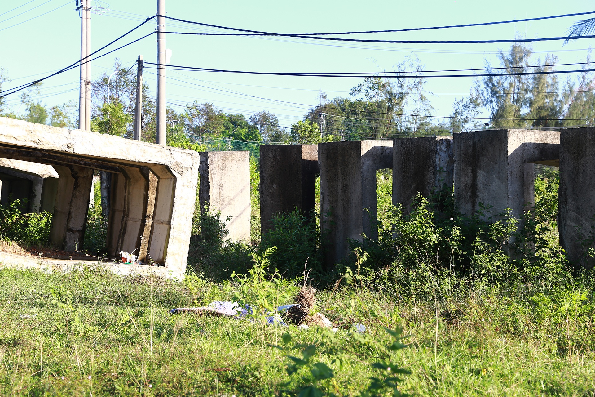 Lang dai hoc Da Nang anh 9