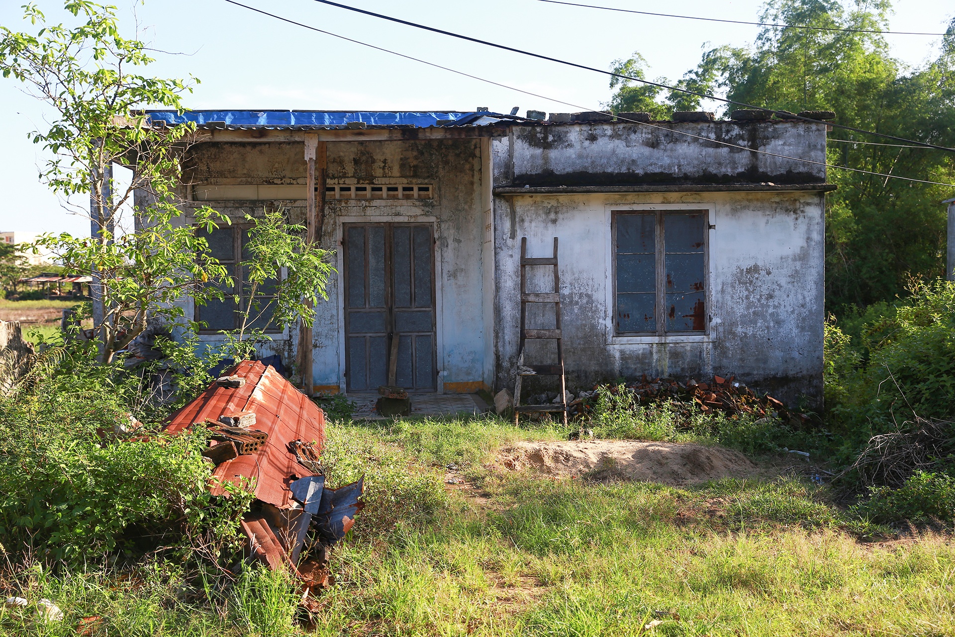 Lang dai hoc Da Nang anh 8